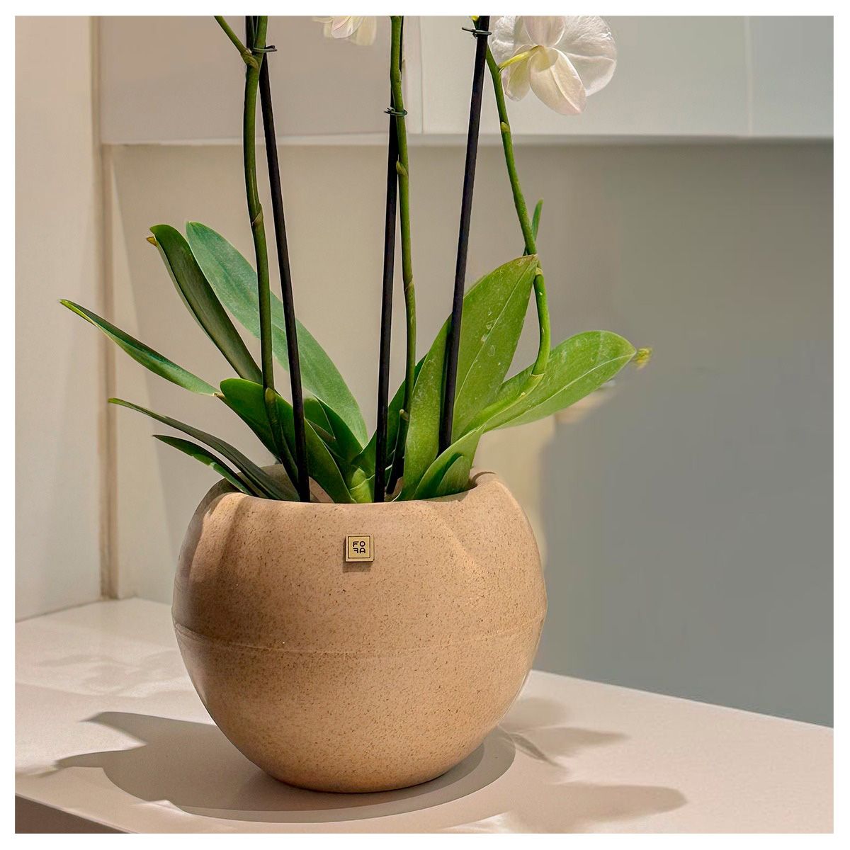 FORA DESIGN - Matera de plástico Balaio Orbit Tamaño Pequeño Color Arena