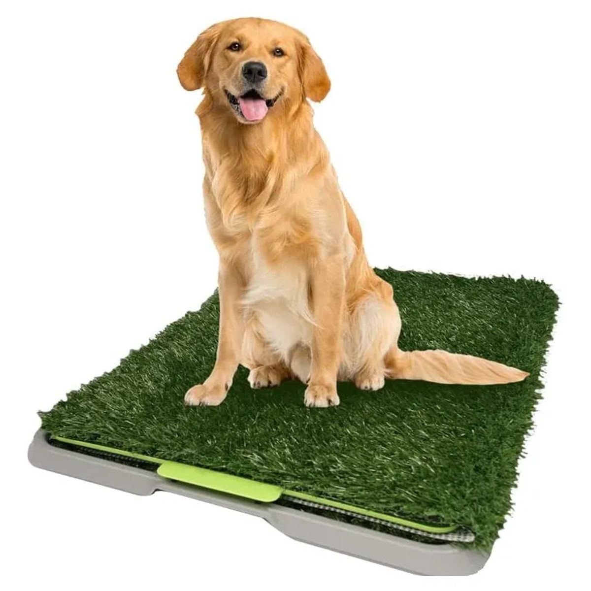 OEM - Tapete Entrenamiento Perros Potty Pad Raza Grande