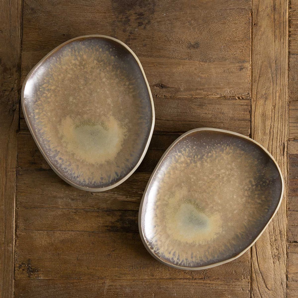 AMBIENTE GOURMET - Plato principal oasis 25cm setx2