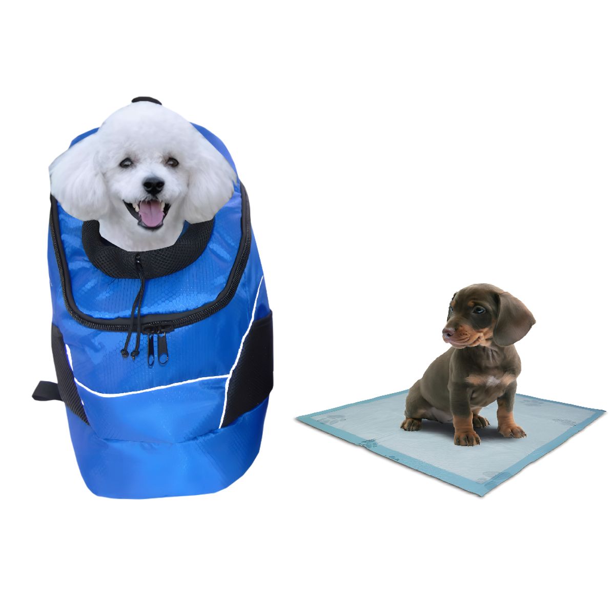 HALLY PET - Morral Ventana Grd + 15 Tapetes entrenadores Azul Claro