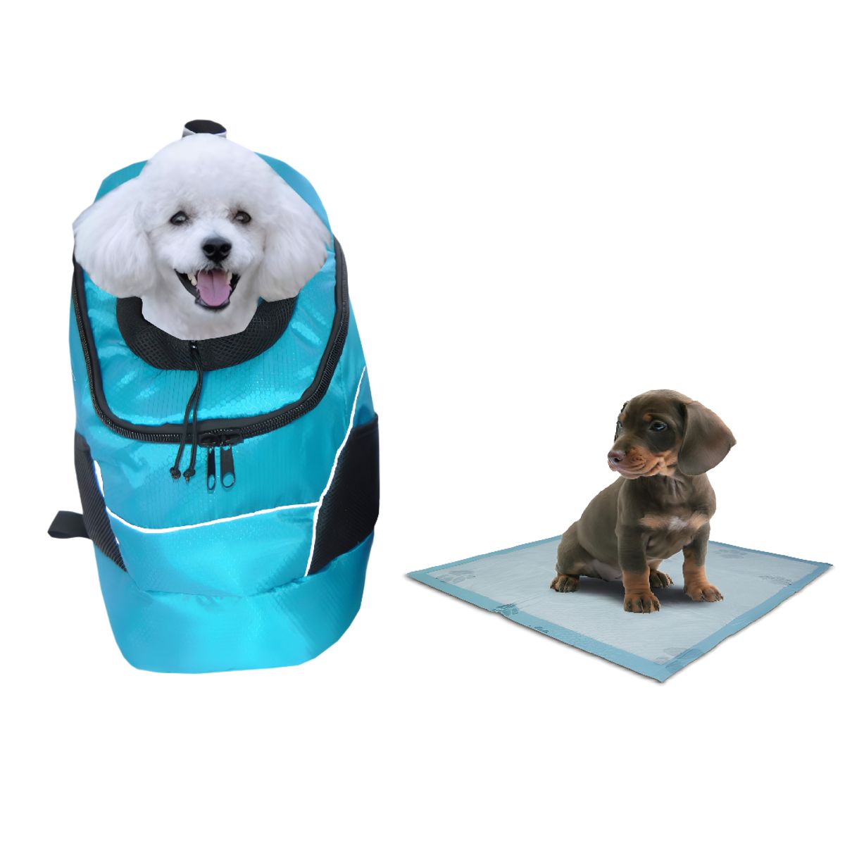HALLY PET - Morral Ventana Grd + 15 Tapetes entrenadores Celeste
