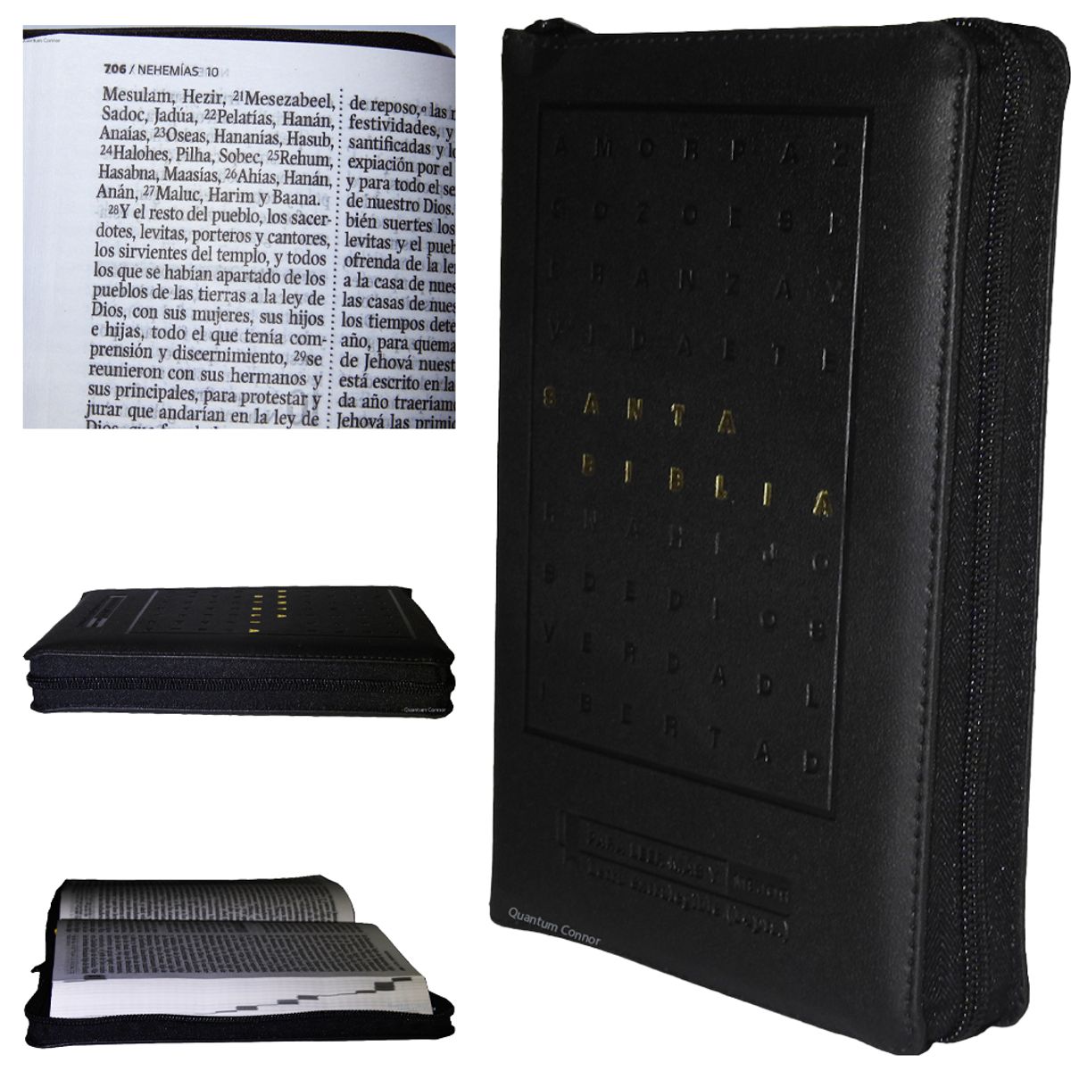 SBC - Biblia Letra Gigante Cristiana Reina Valera 1960 Negro