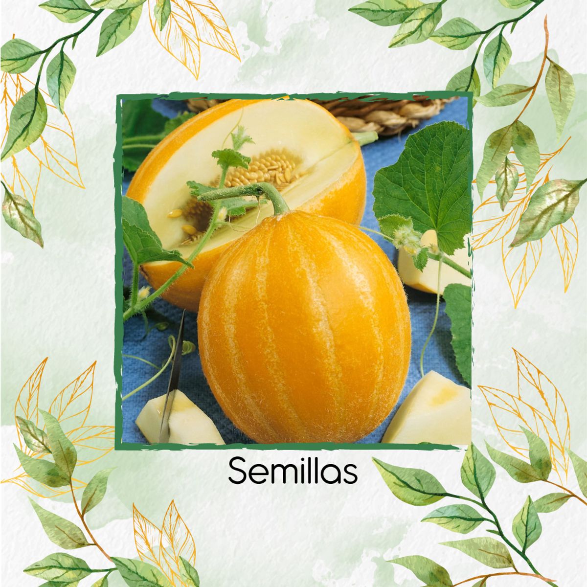 GENERICO - 40 Semillas Orgánicas De Melón Español Amarillo Canario