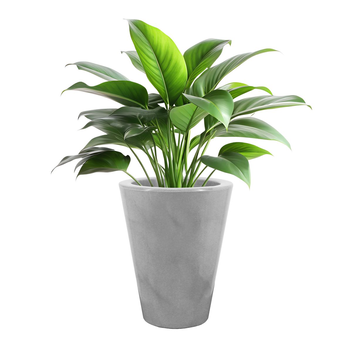 RENOVEMOS - Matera Conica Efecto Mármol