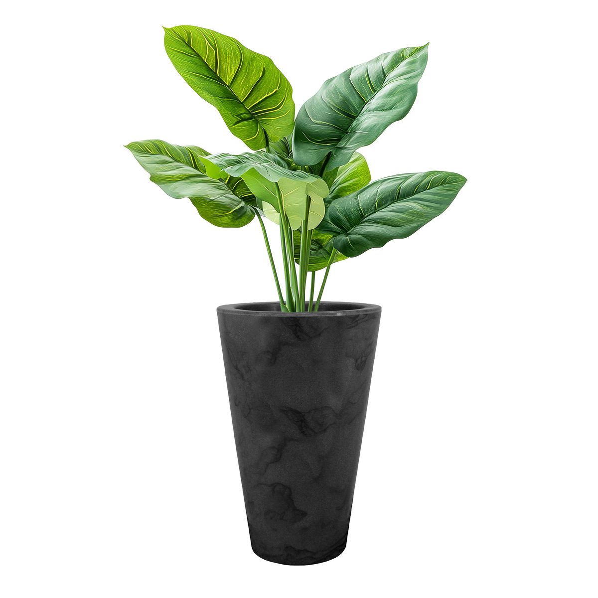 RENOVEMOS - Matera Cónica Negra Efecto Mármol