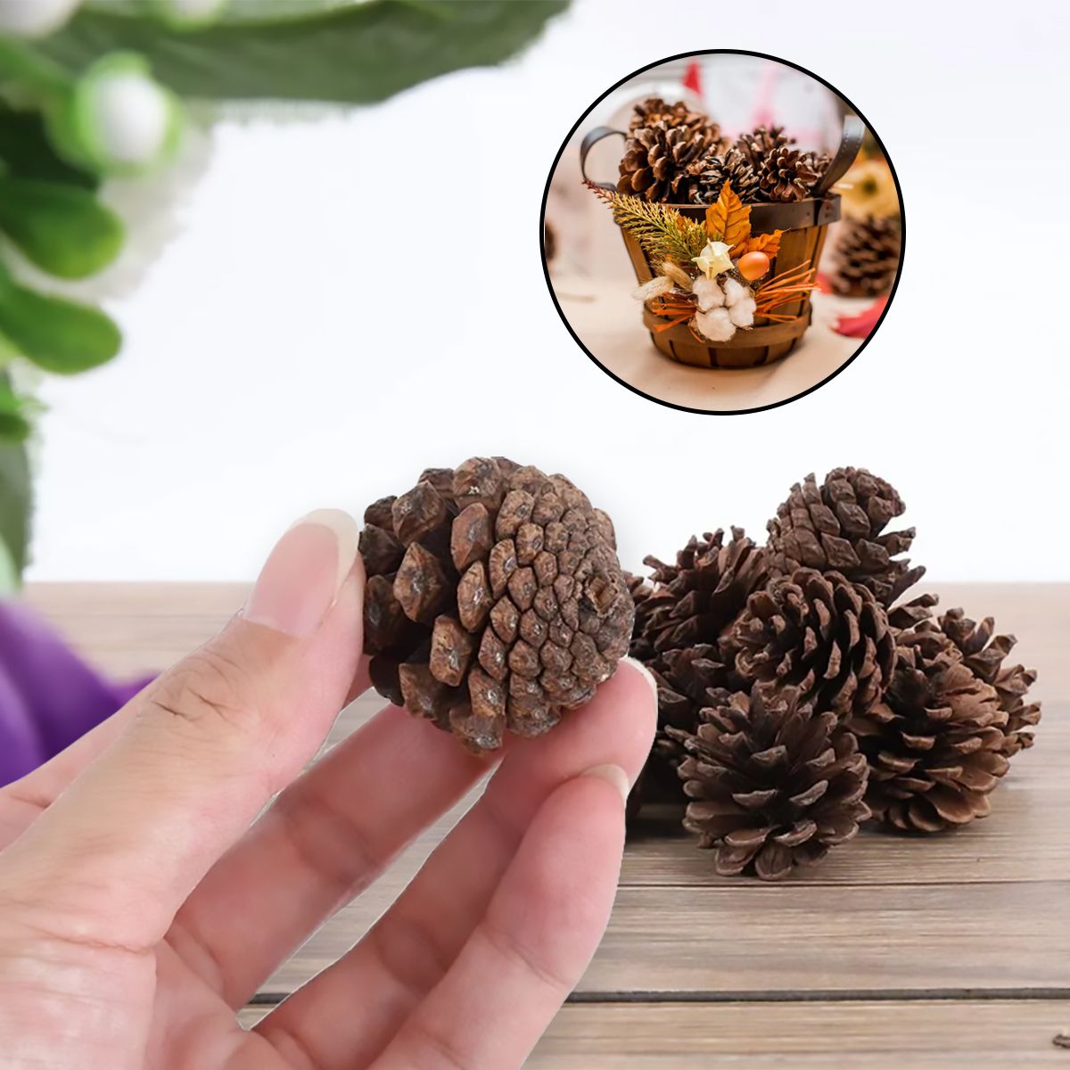 GENERICO - 12 Piñas De Pino Conos Naturales Para Decorar Colgantes Adornos Manualidades