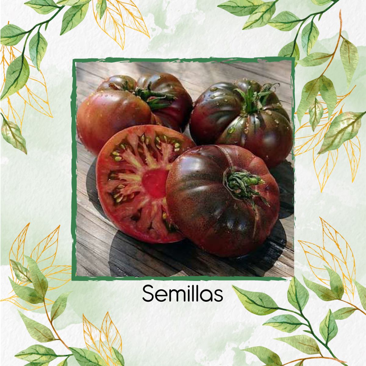 GENERICO - 65 Semillas Orgánicas De Tomate Brandywine Black