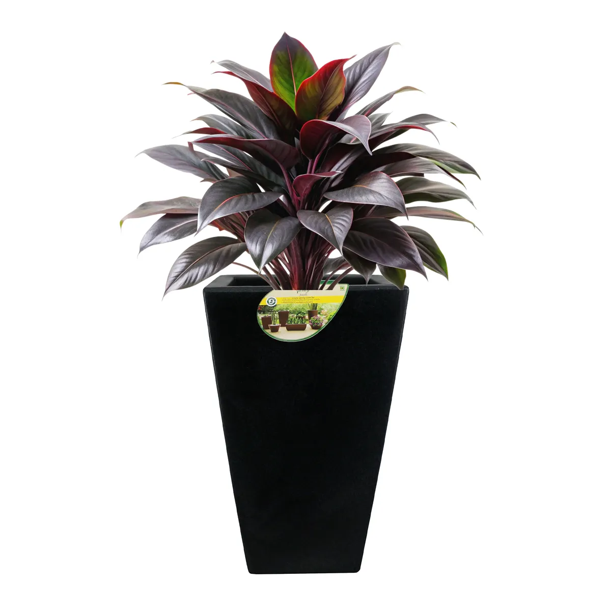 RENOVEMOS - Matera Trapecio Negro Mármol