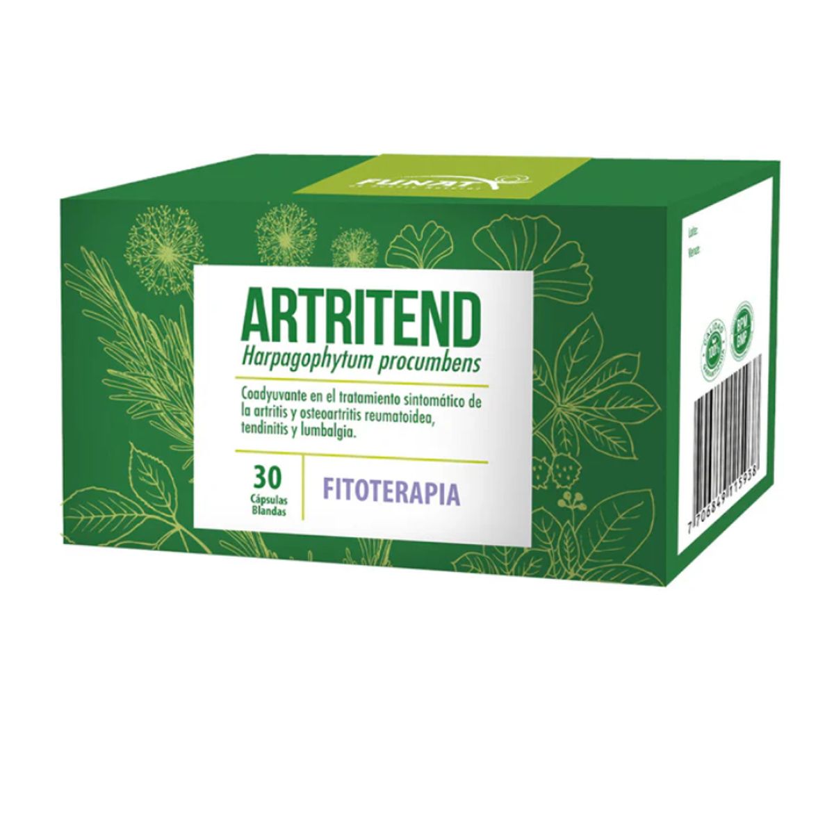 FUNAT - SUPLEMENTO CON HARPAGOFITO X 30 CAPSULAS/ ARTRITEND - FUNAT