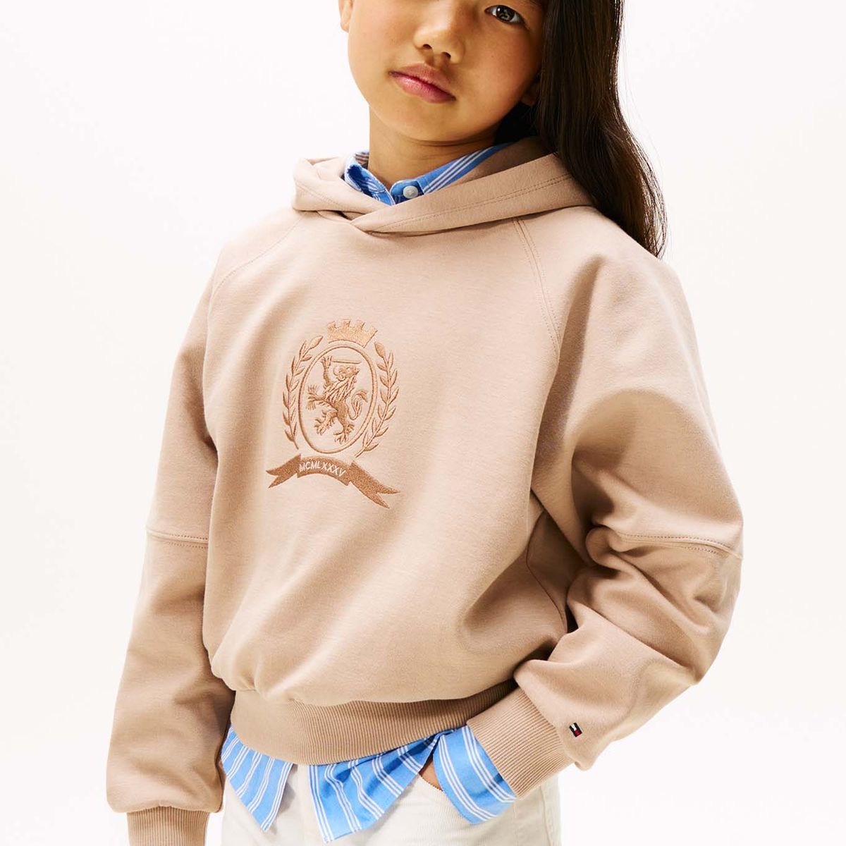 TOMMY HILFIGER - Buzo café con capota y logo tonal Tommy Hilfiger