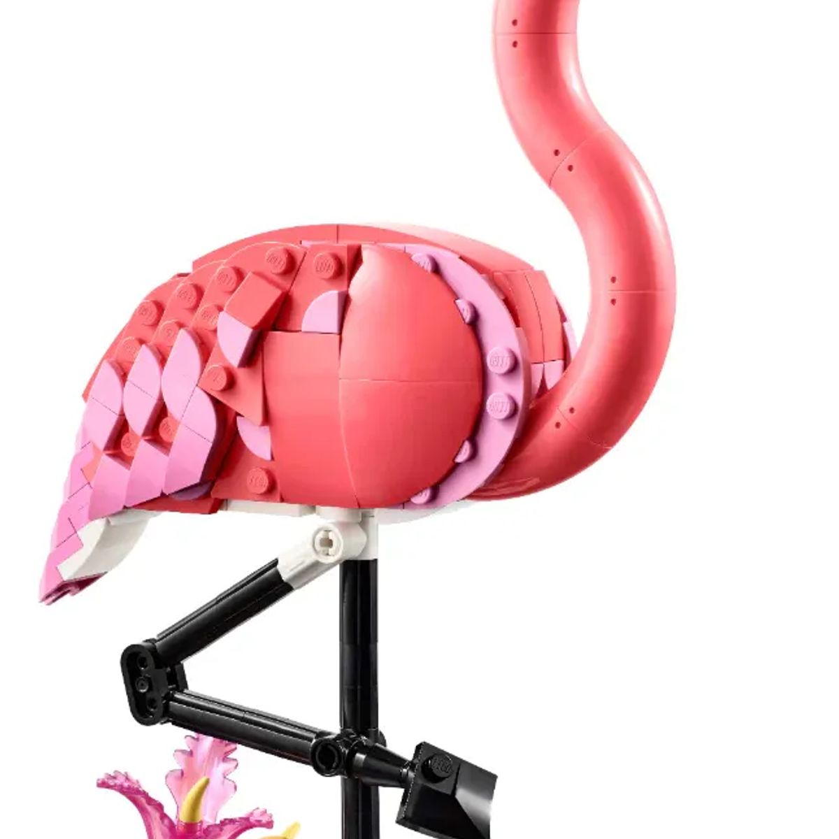 LEGO - Juego De Construcción Lego Creator 3 En 1 Flamenco Rosa