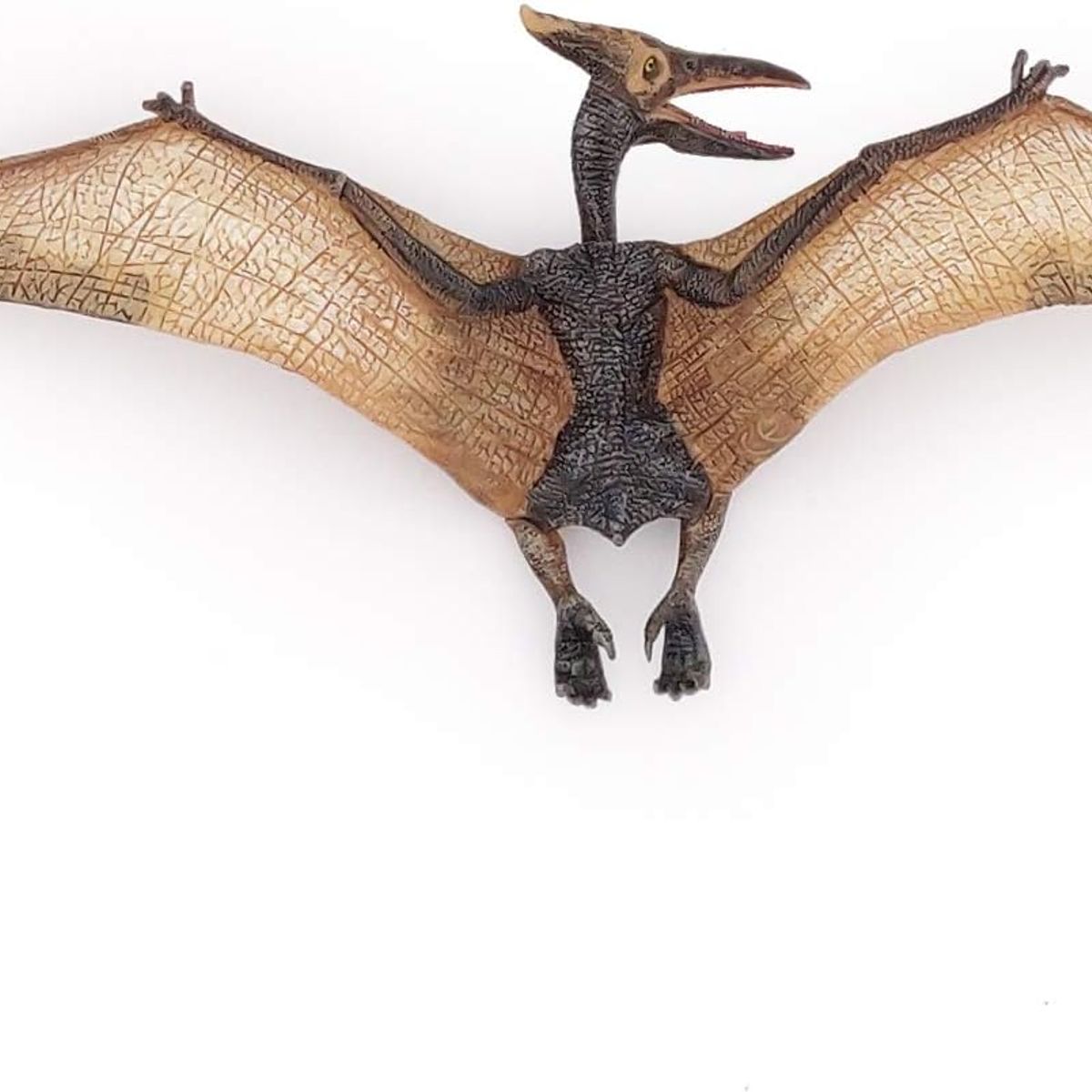 JUGANDO Y EDUCANDO - Figura Coleccionable Dinosaurio Pteranodon Pintada A Mano