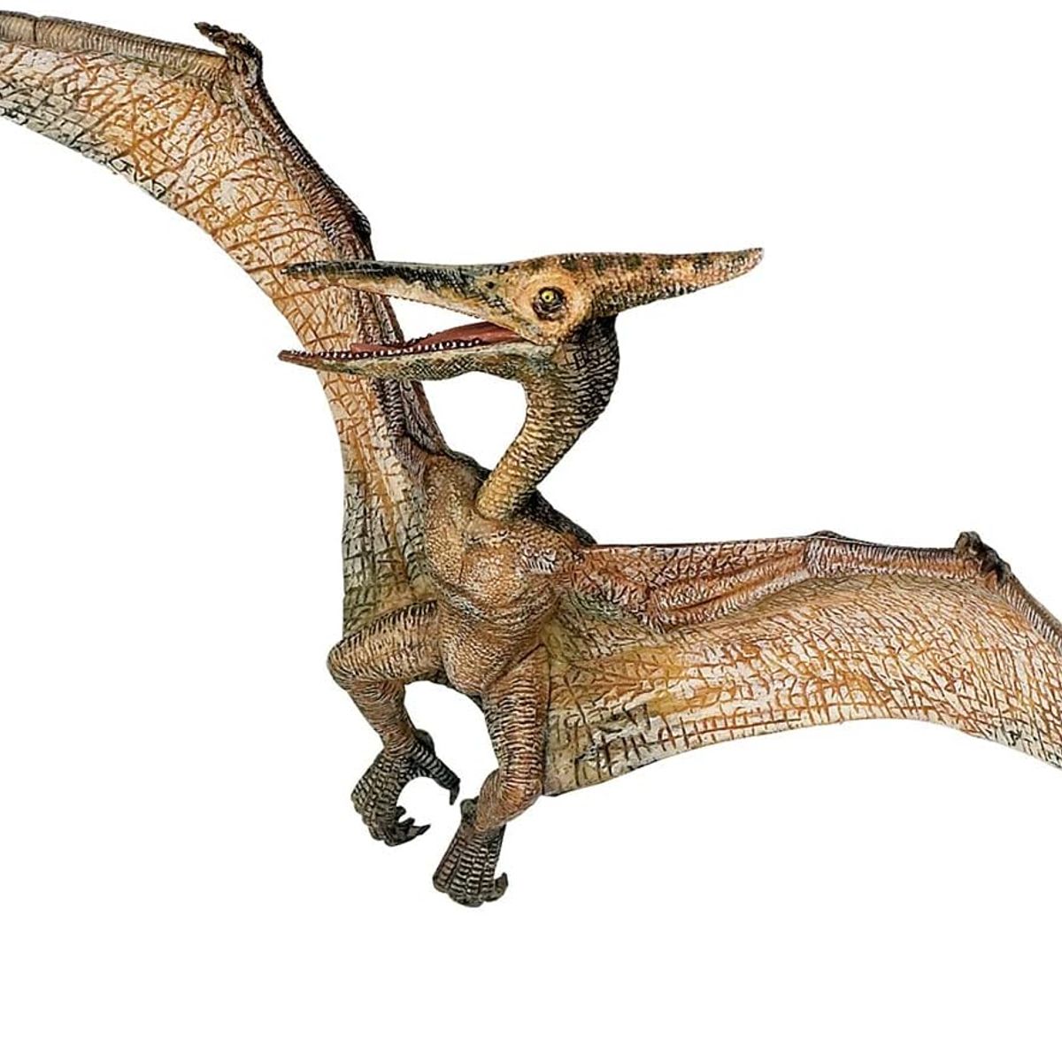 JUGANDO Y EDUCANDO - Figura Coleccionable Dinosaurio Pteranodon Pintada A Mano