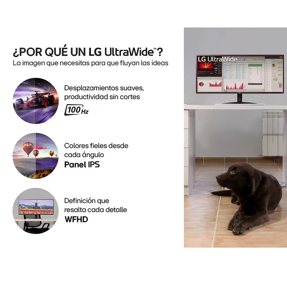 LG - Monitor LG 29U511A UltraWide 29 WFHD IPS 100HZ