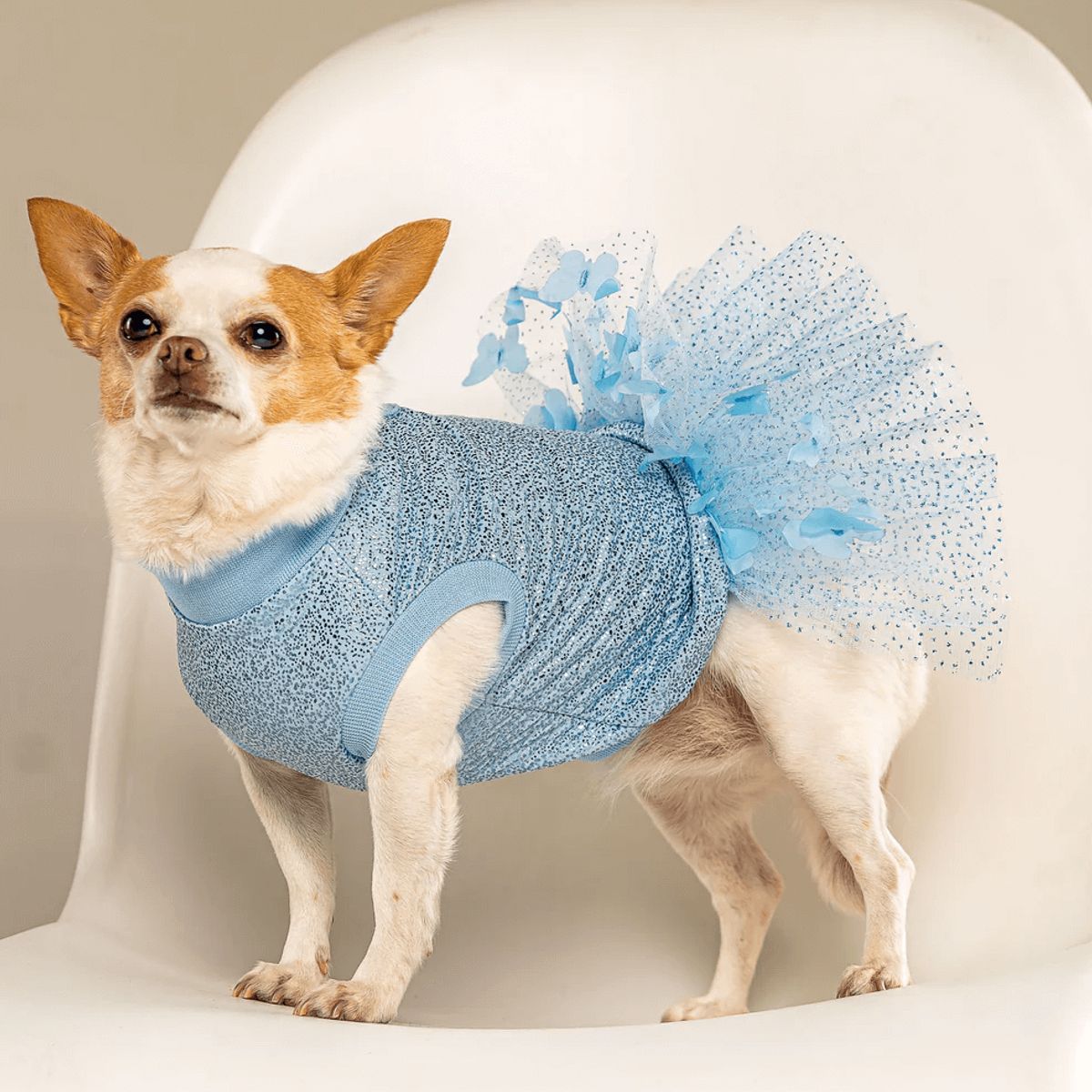 GENERICO - Vestido para perro Zafiro - Talla ML - Ropa Mascotas