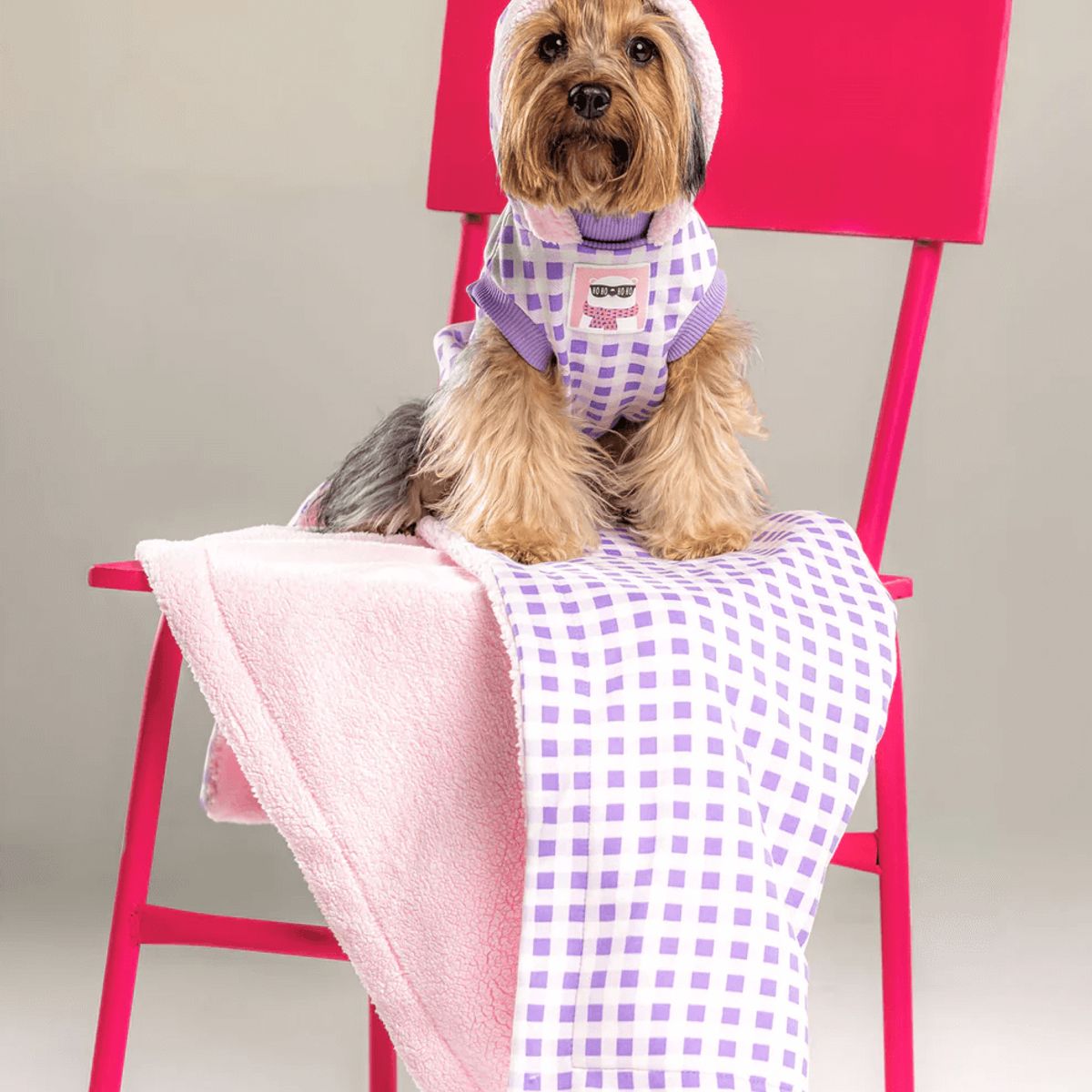 GENERICO - Combo para perro Leñador Lila - Talla S - Cobija y Ropa para Mascotas