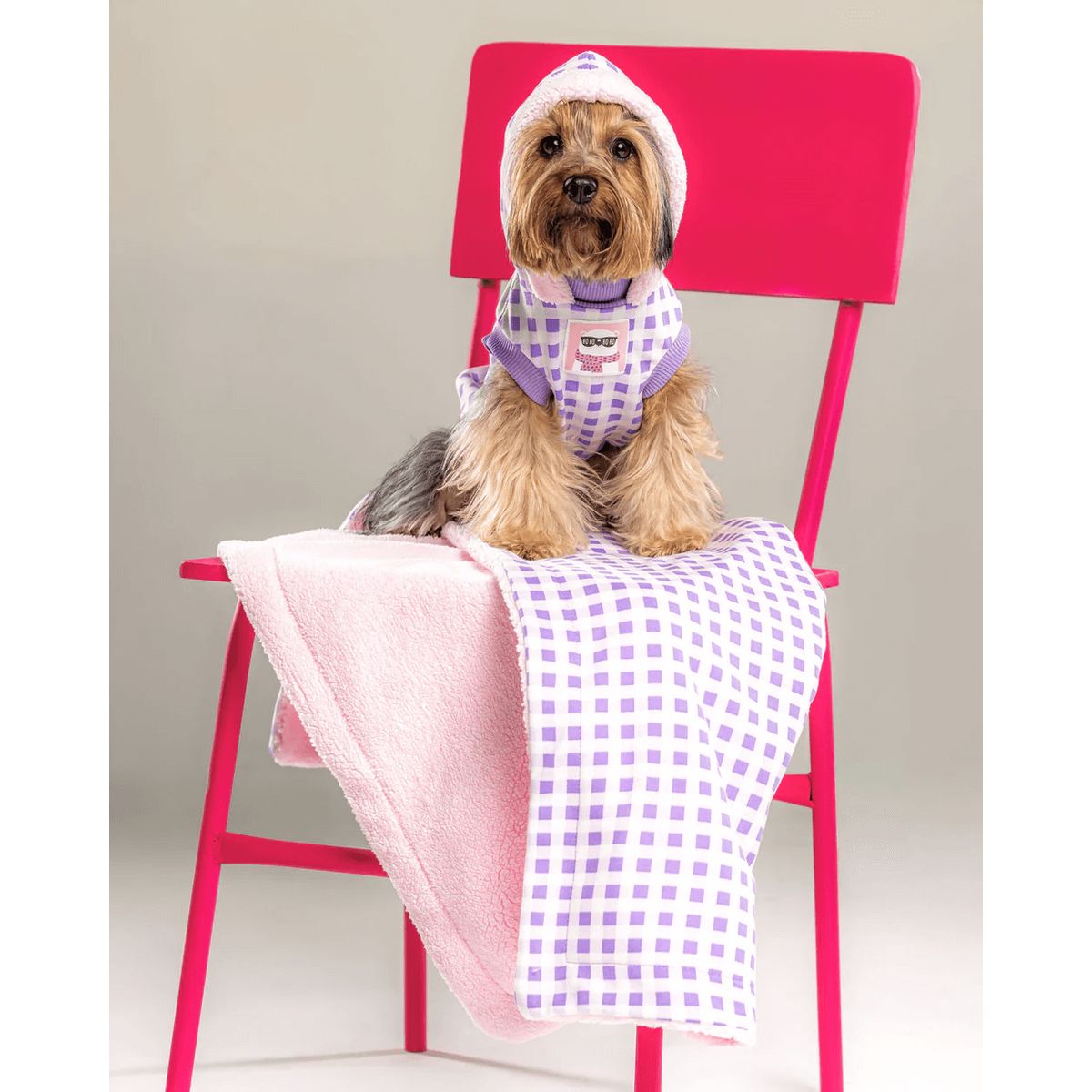 GENERICO - Combo para perro Leñador Lila - Talla S - Cobija y Ropa para Mascotas