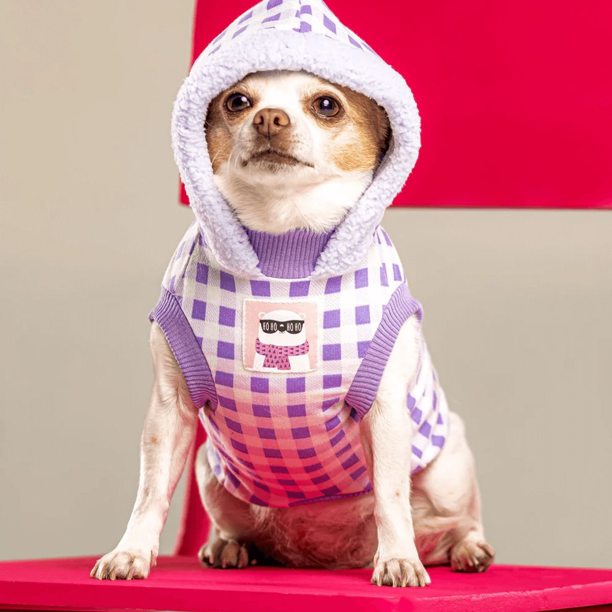 GENERICO - Combo para perro Leñador Lila - Talla ML - Cobija y Ropa para Mascotas