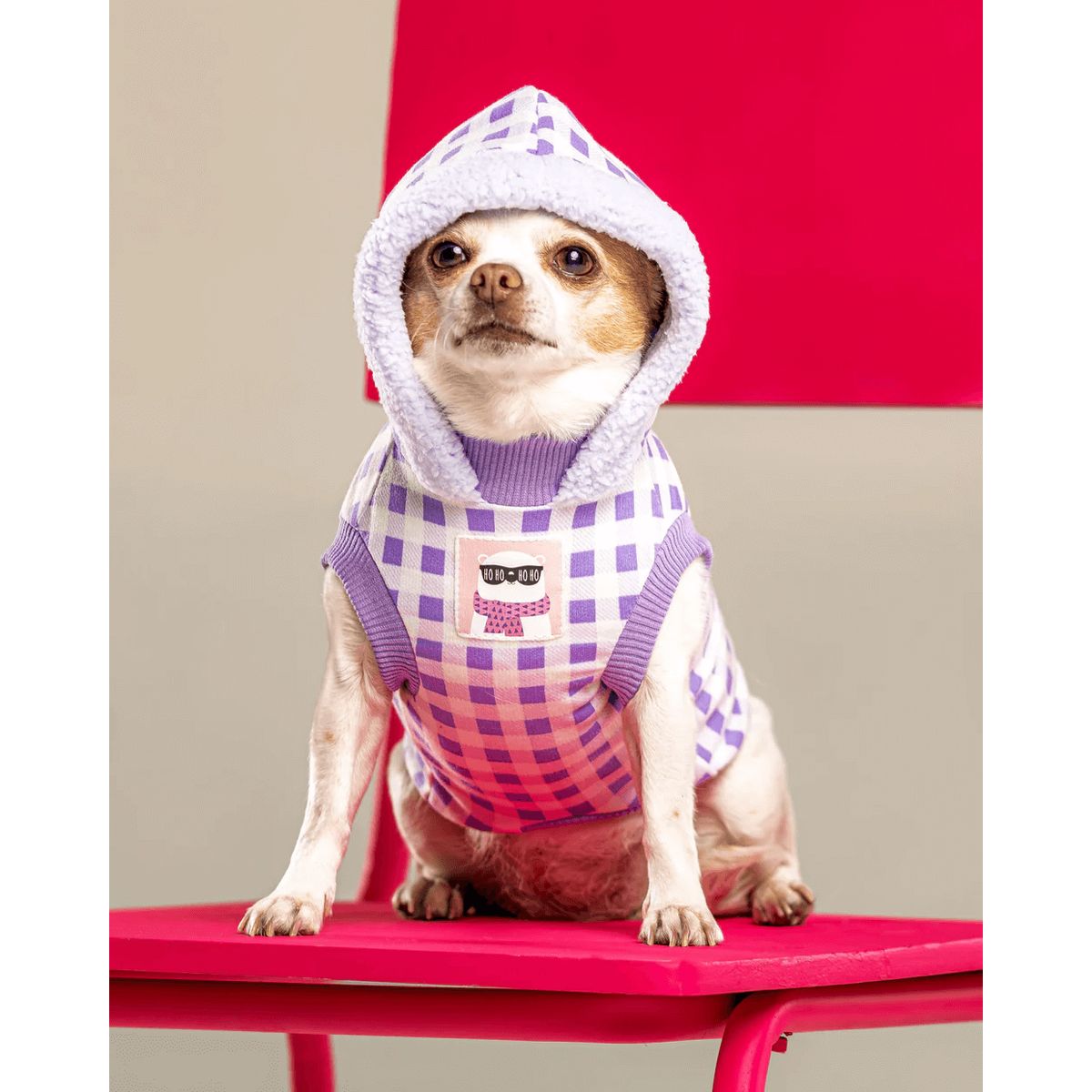 GENERICO - Combo para perro Leñador Lila - Talla ML - Cobija y Ropa para Mascotas