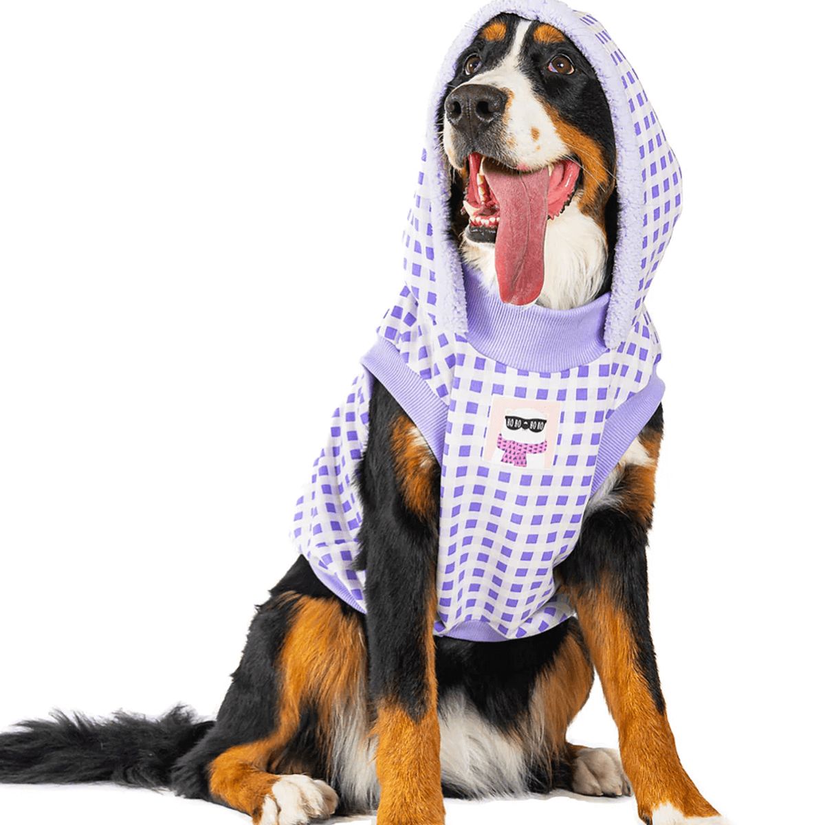 GENERICO - Combo para perro Leñador Lila - Talla 4XL - Cobija y Ropa para Mascotas