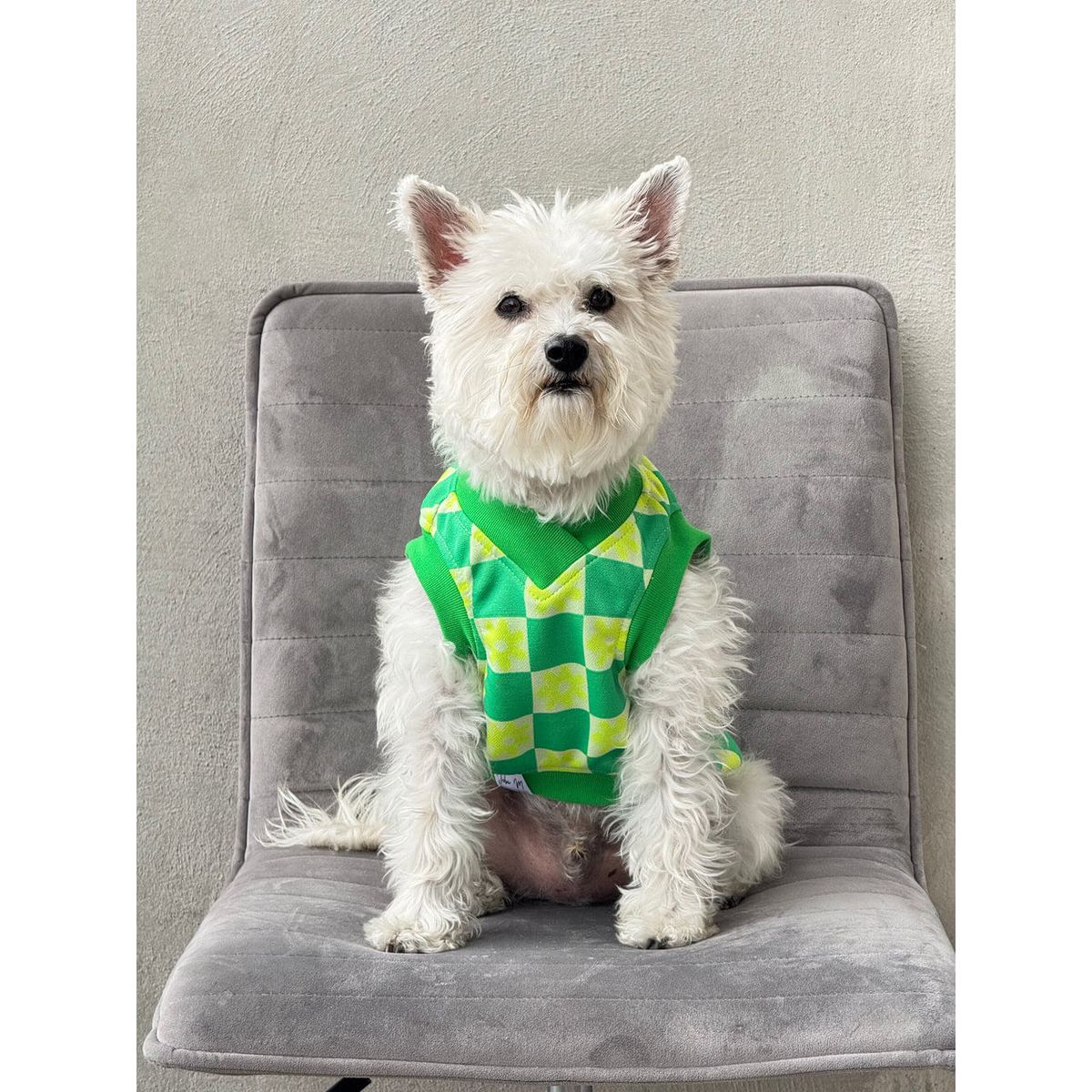 GENERICO - Chaleco para perro Flow Paw Verde - Talla XL - Ropa para Mascotas