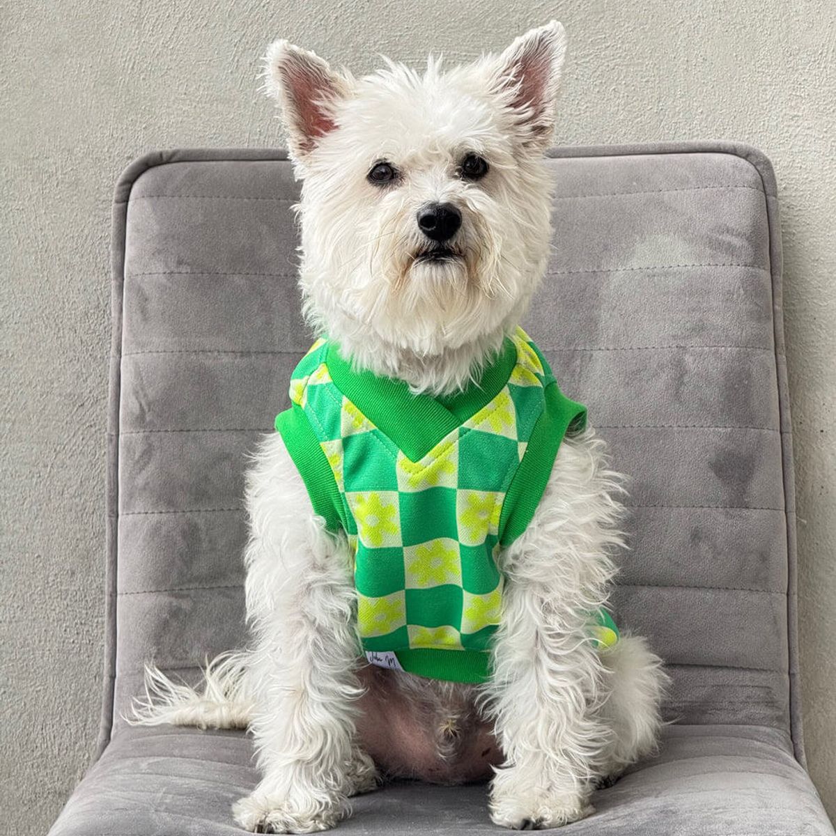 GENERICO - Chaleco para perro Flow Paw Verde - Talla 4XL - Ropa para Mascotas