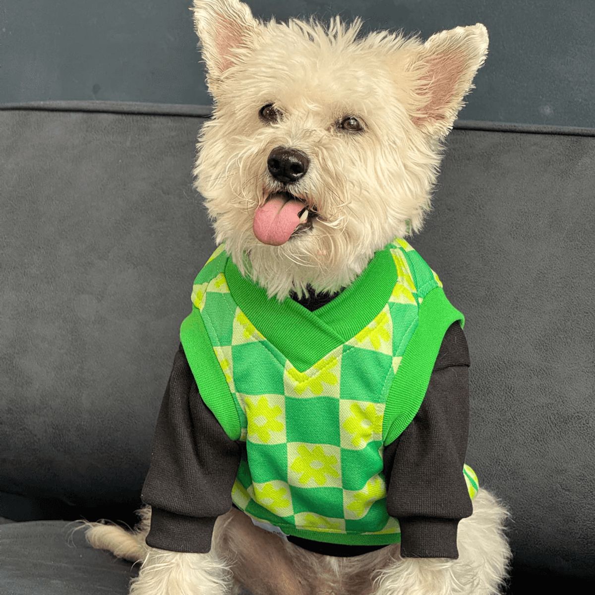 GENERICO - Chaleco para perro Flow Paw Verde - Talla 4XL - Ropa para Mascotas