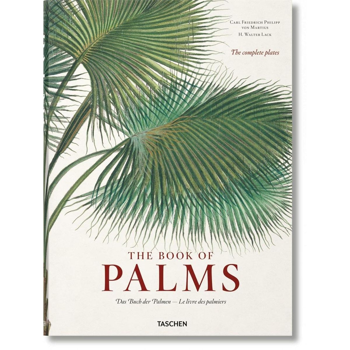 TASCHEN - The Book Of Palms. Martius (T.D)