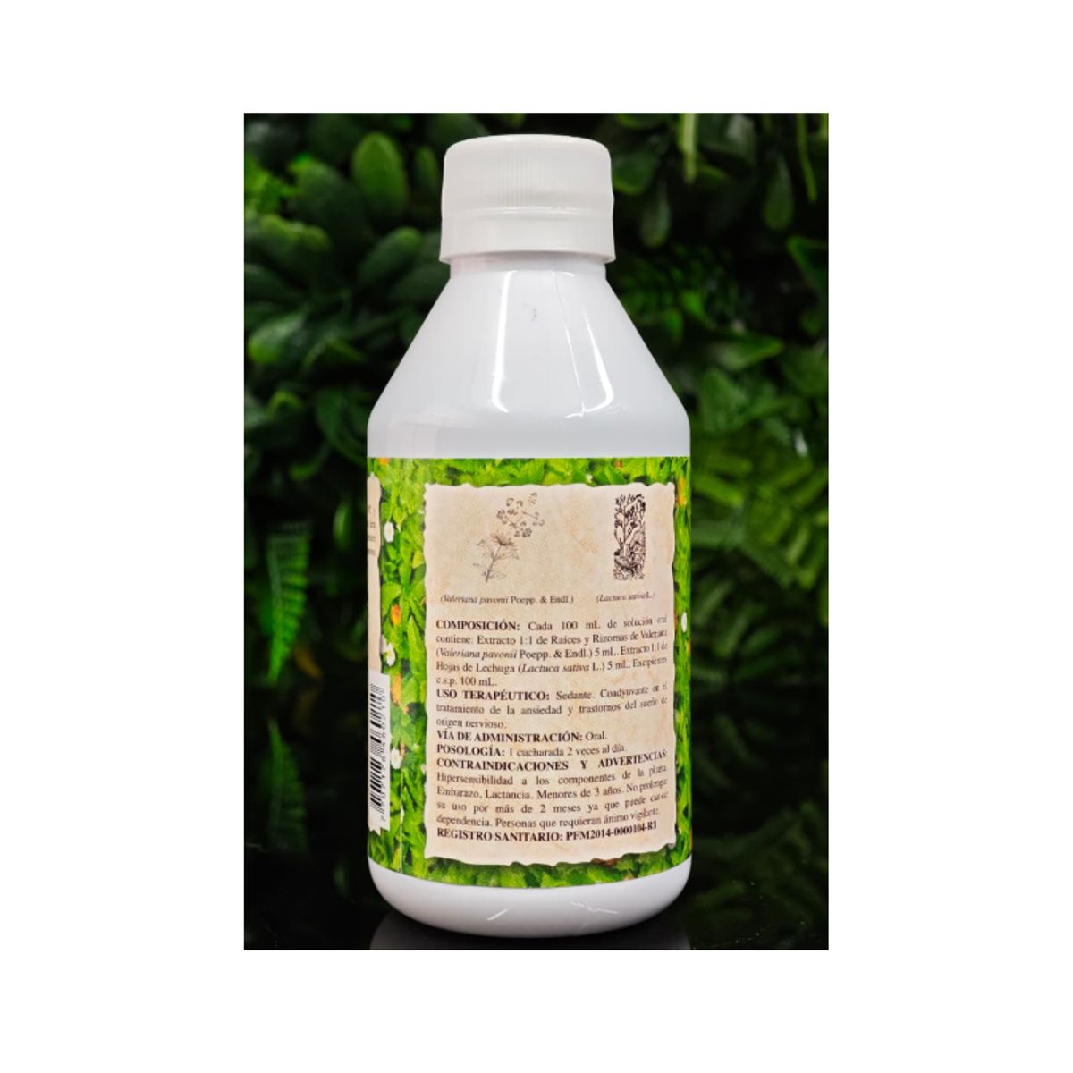 LABFARVE - ALIMENTO CON VALERIANA Y EXTRACTOS VEGETALES X 240 ML/ LABFARVE