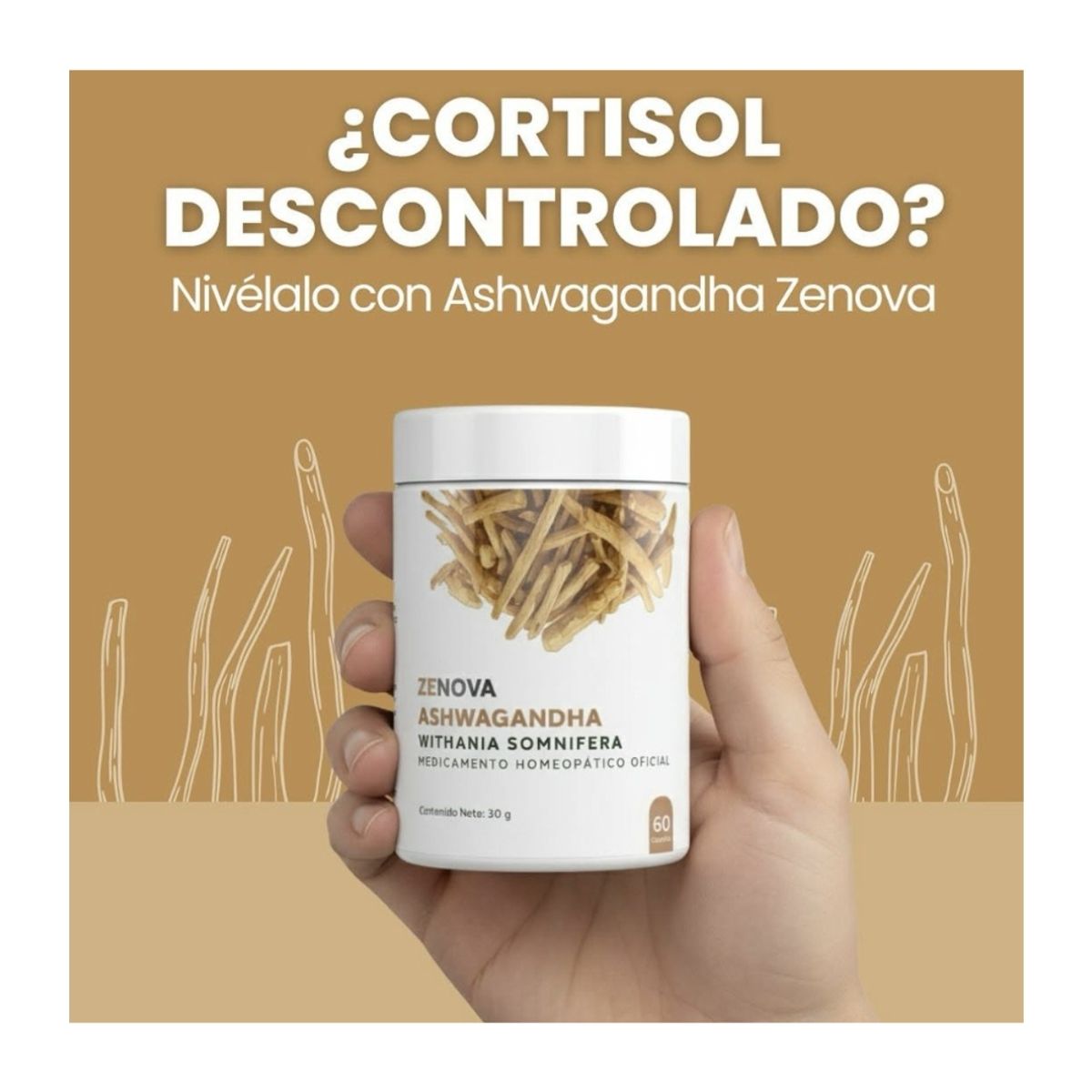 ZENITH - Ashwagandha Zenova 60 Cápsulas Adaptógeno Natural para Estrés, Energía y Sueño