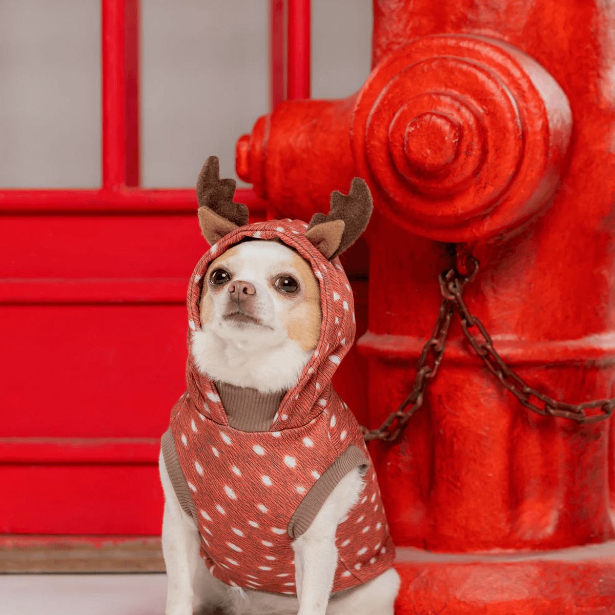 GENERICO - Buzo hoodie para perro Bambi - Talla ML - Ropa para Mascotas