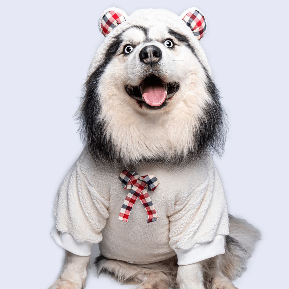 GENERICO - Buzo hoodie para perro Teddy - Talla ML - Ropa para Mascotas