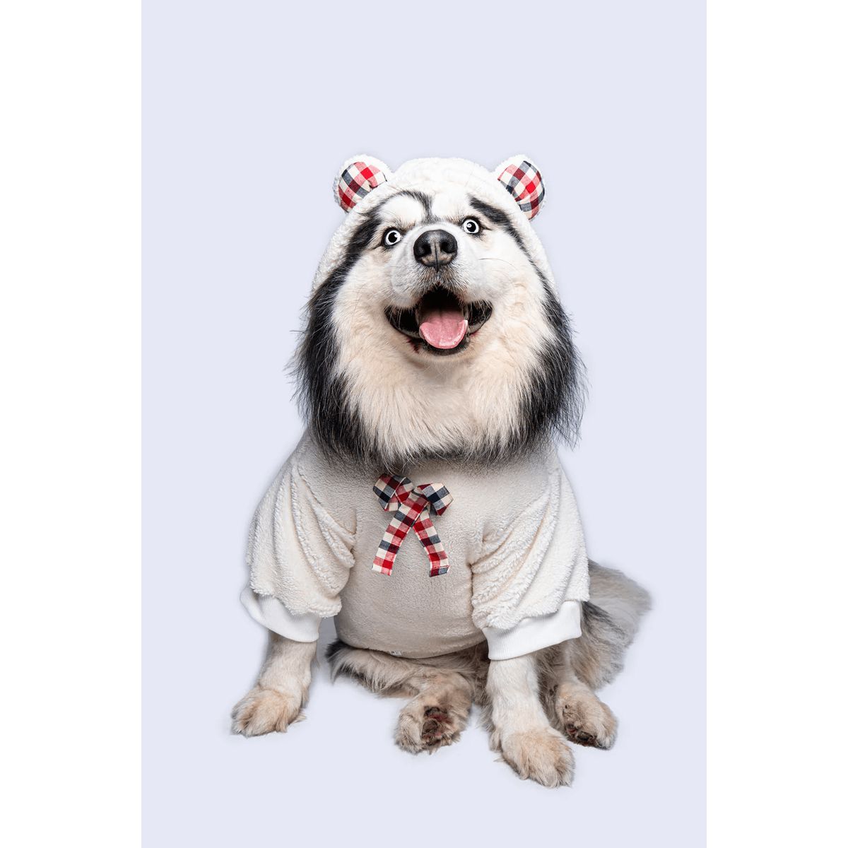 GENERICO - Buzo hoodie para perro Teddy - Talla ML - Ropa para Mascotas