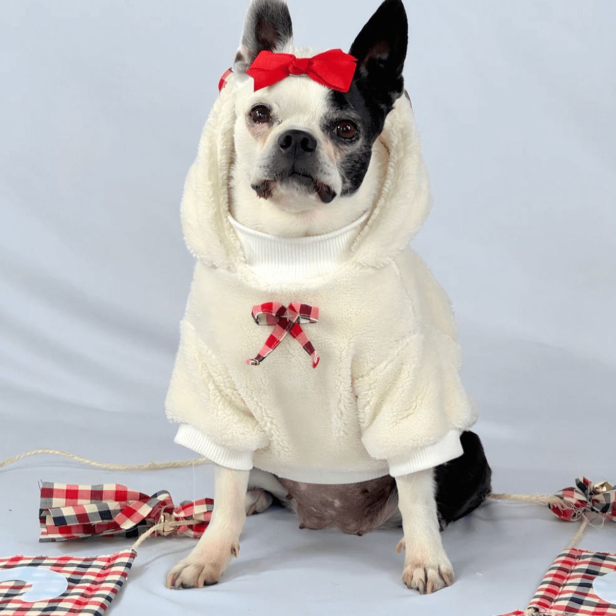 GENERICO - Buzo hoodie para perro Teddy - Talla ML - Ropa para Mascotas