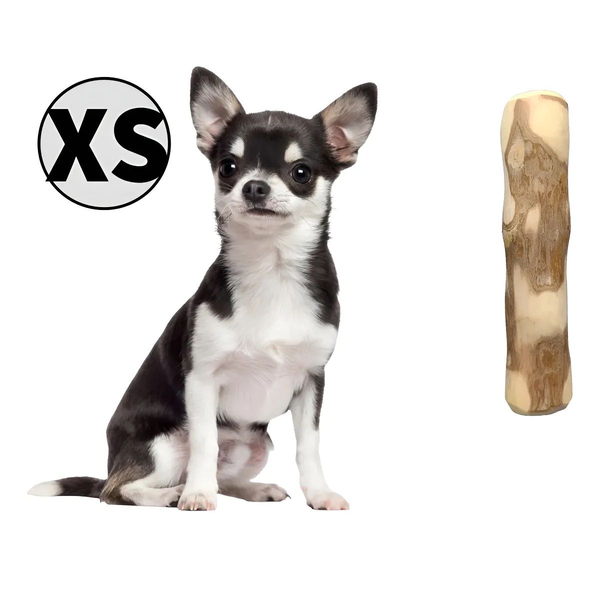 GENERICO - Kit 3 Palos De Café Perro Xs 15 A 18 Cm Aproximado