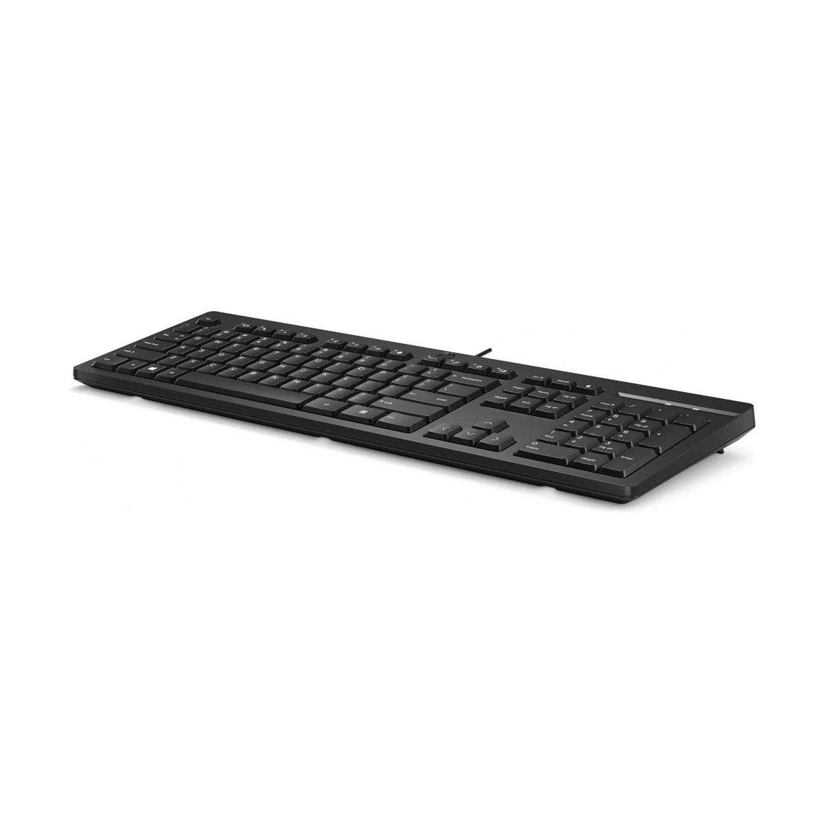 HP - Teclado HP 125 Alámbrico USB Negro Español