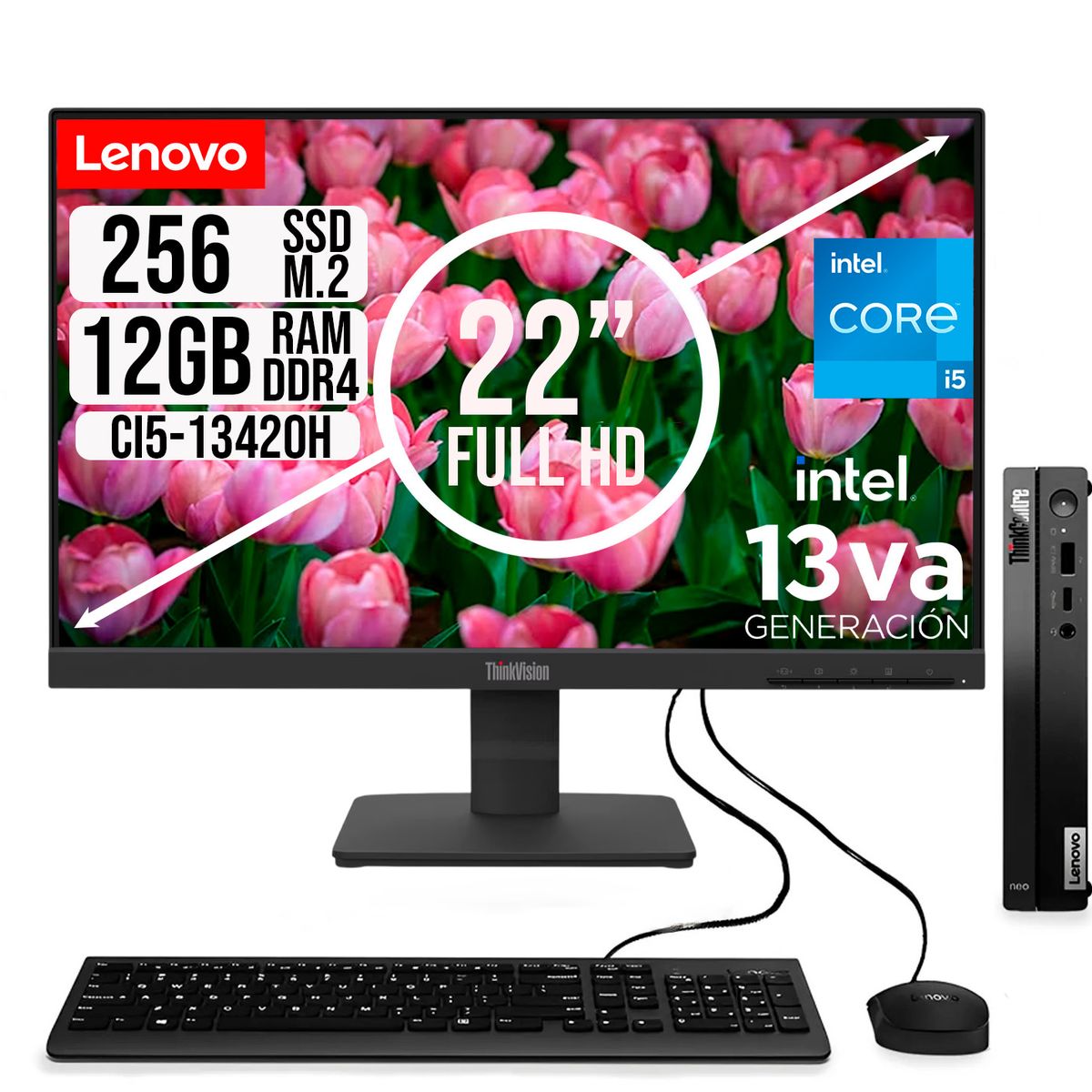 LENOVO - COMPUTADOR LENOVO TINY INTEL CORE I5-13420H SSD 256GB RAM 12GB 21.5 FHD S22-4e