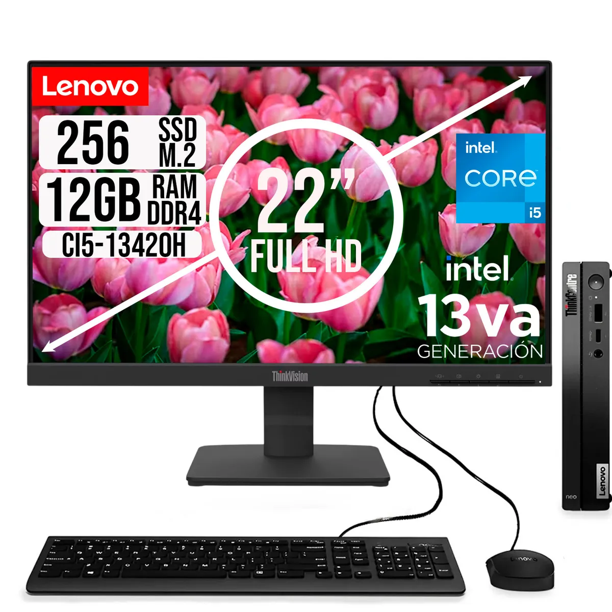 LENOVO - COMPUTADOR LENOVO TINY INTEL CORE I5-13420H SSD 256GB RAM 12GB 21.5 FHD S22-4e