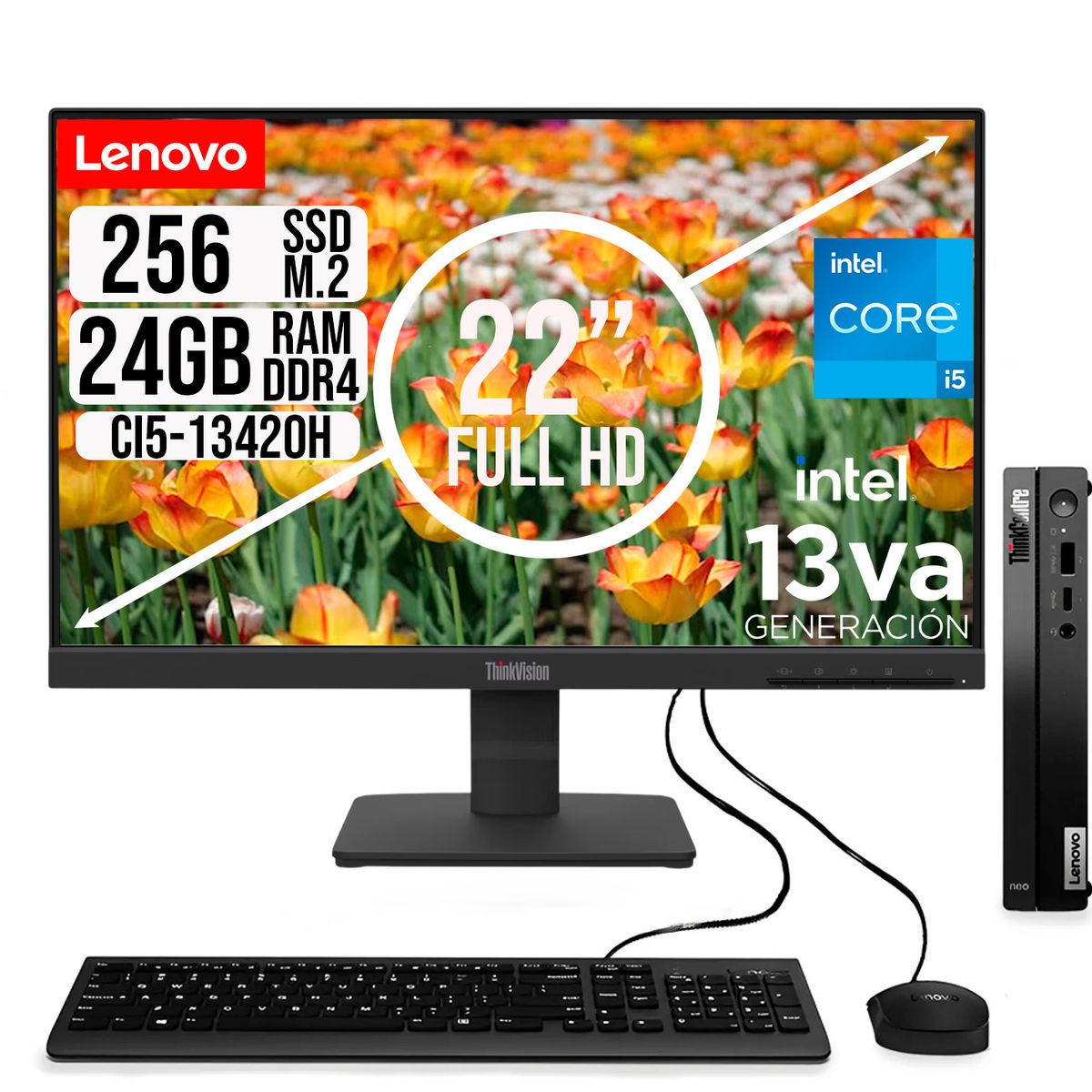 LENOVO - COMPUTADOR LENOVO TINY INTEL CORE I5-13420H SSD 256GB RAM 24GB 21.5 FHD S22-4e