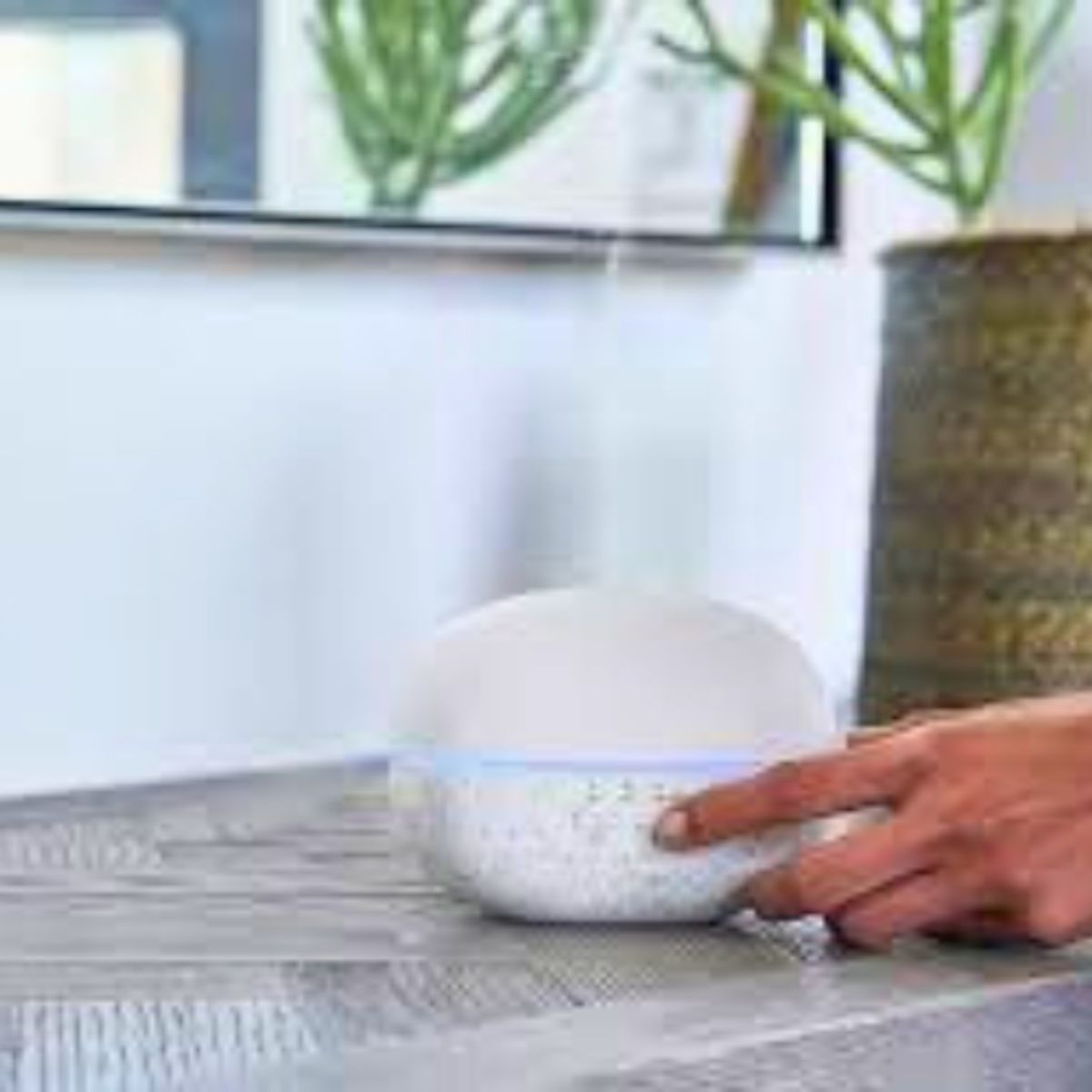 GENERICO - Difusor Pebble de doTERRA + Aceite Esencial de Menta x 5ml