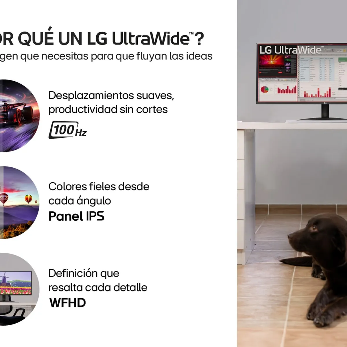 LG - Monitor LG 29 Ultrawide WFHD IPS 100hz Negro 29U511A-BAWP