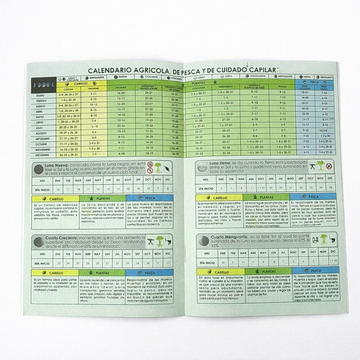 GENERICO - Calendario Almanaque Pintoresco Bristol 2026