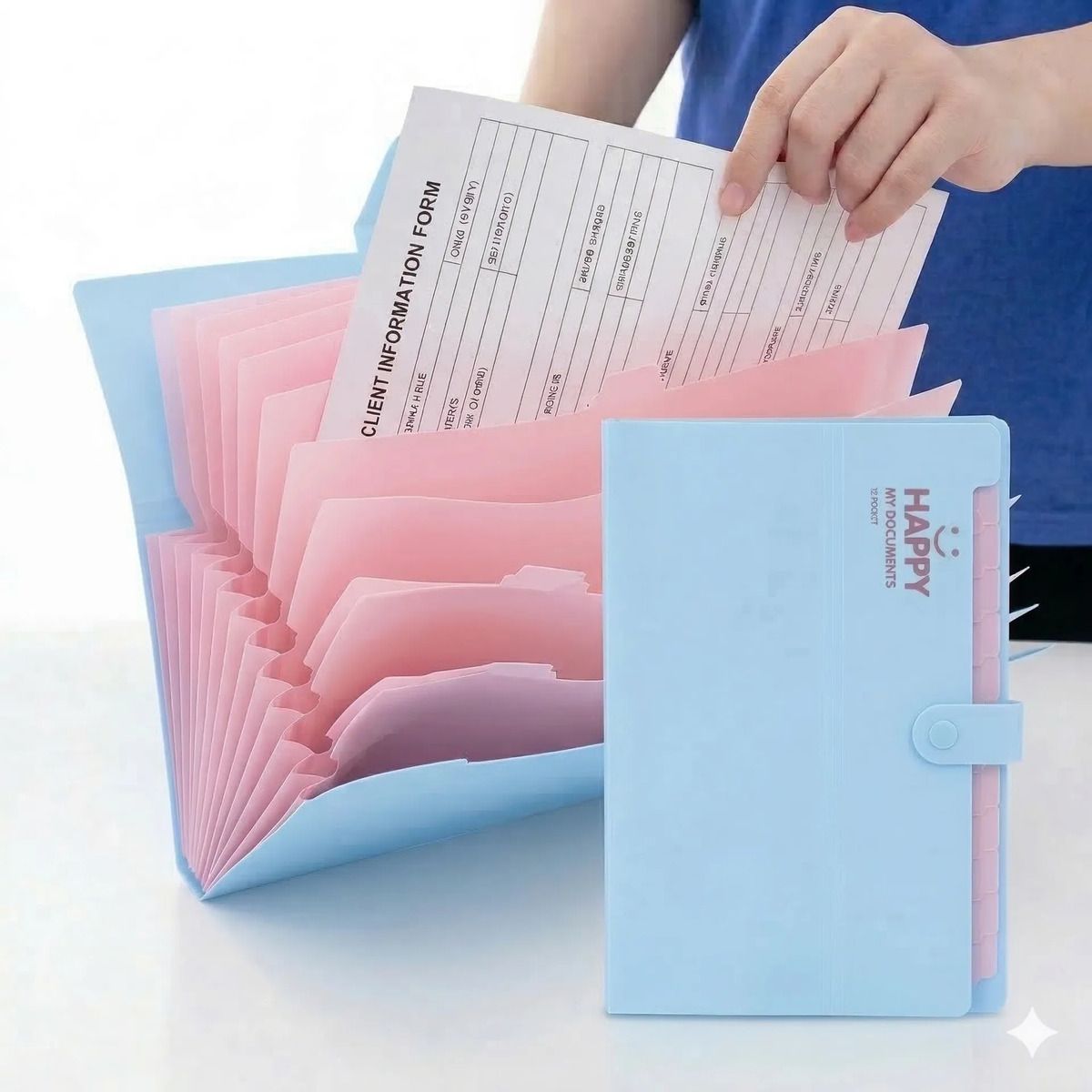 GENERICO - Carpeta Archivadora Fuelle 12 Bolsillos Acordeon 325x24cm Azul