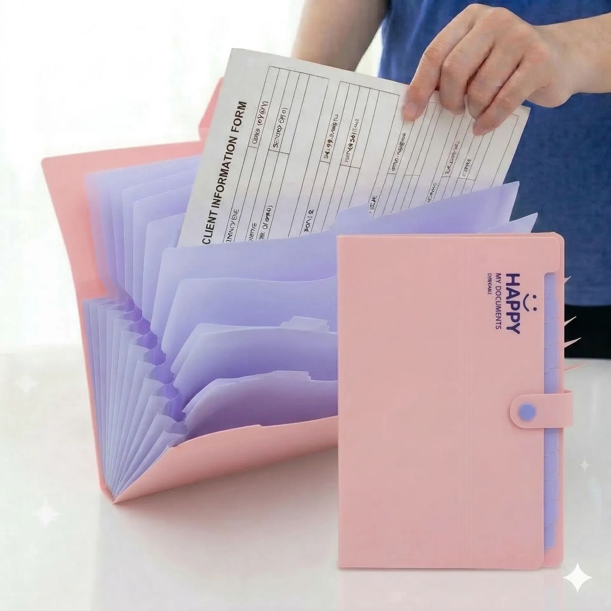 GENERICO - Carpeta Archivadora Fuelle 12 Bolsillos Acordeon 325x24cm Rosado
