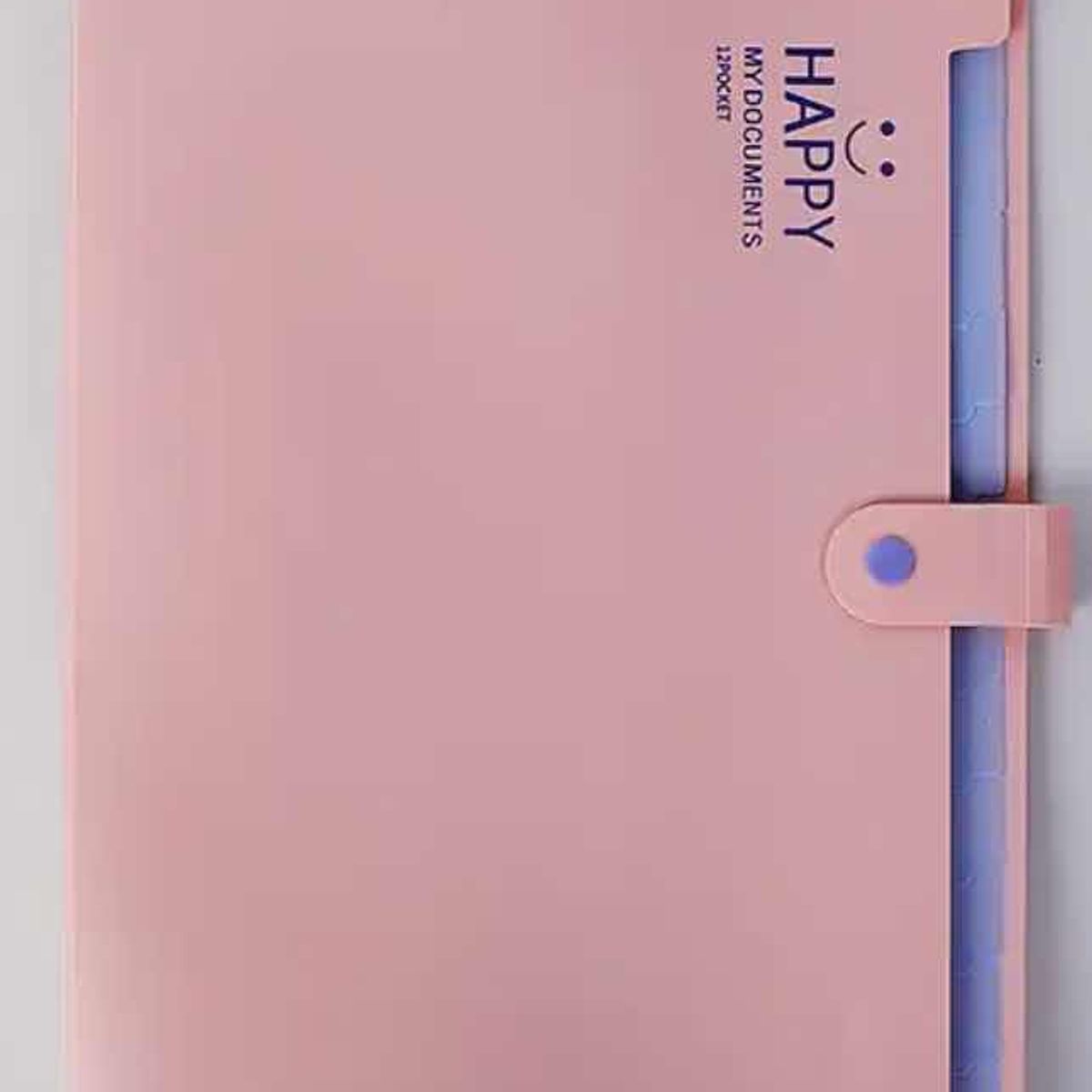 GENERICO - Carpeta Archivadora Fuelle 12 Bolsillos Acordeon 325x24cm Rosado