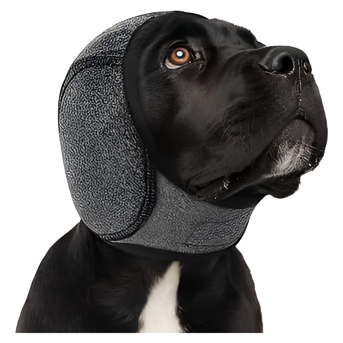 GENERICO - Orejeras Para Perro Con Velcro Reducen Ruido Y Estrés