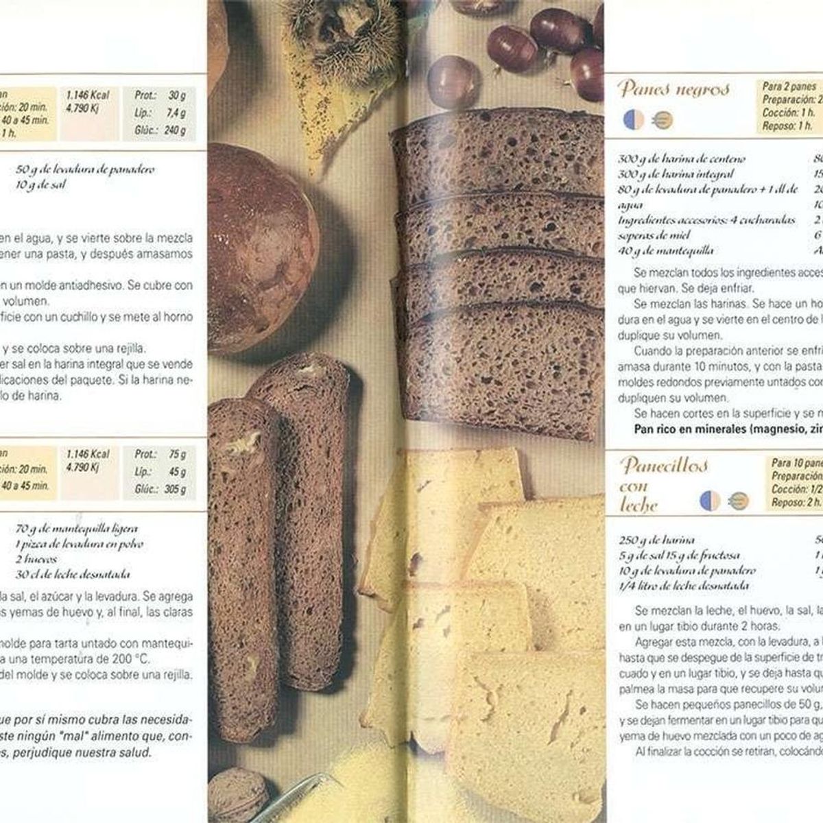 SUSAETA - Cocina Sana. El Rincón Del Gourmet