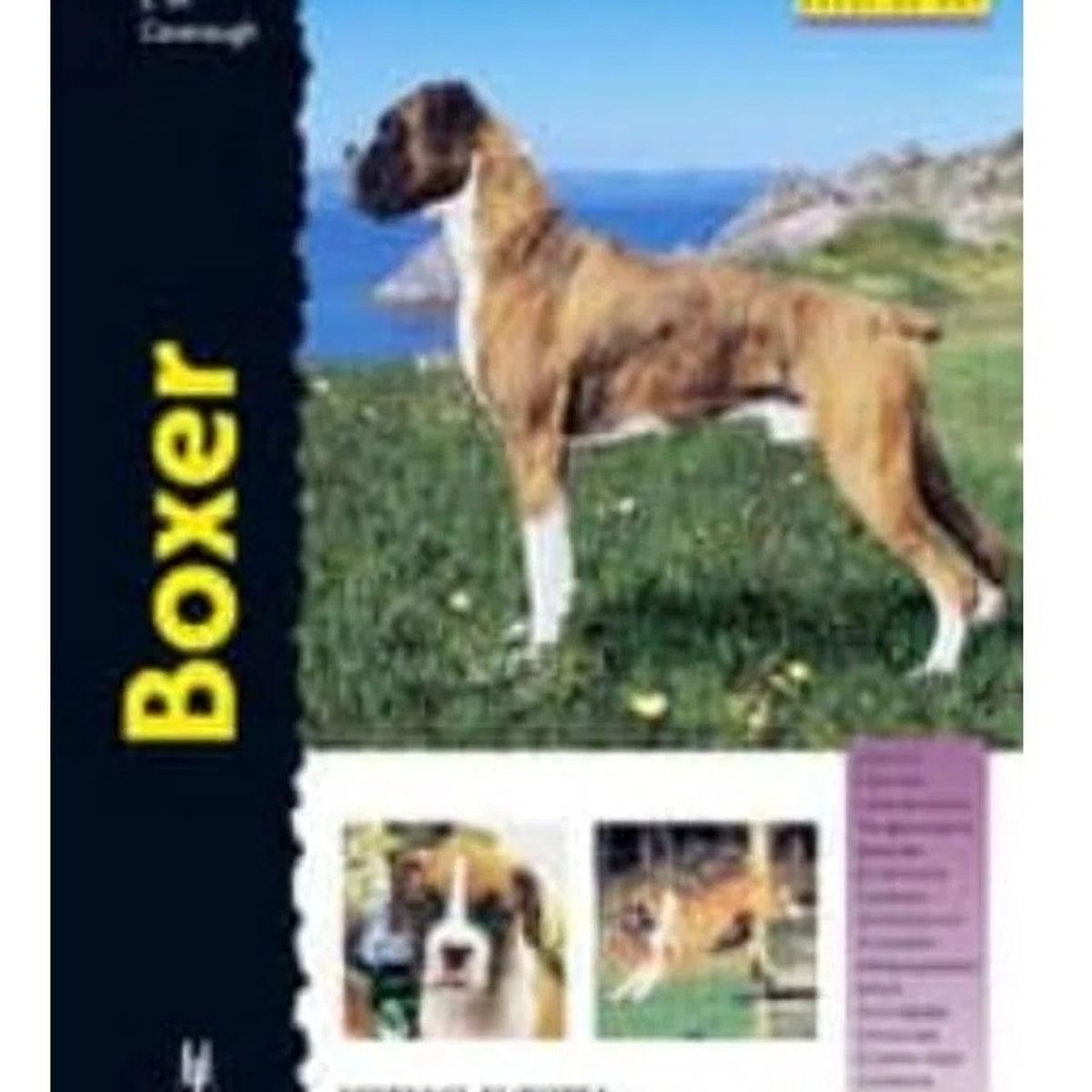 GENERICO - Boxer. Excellence