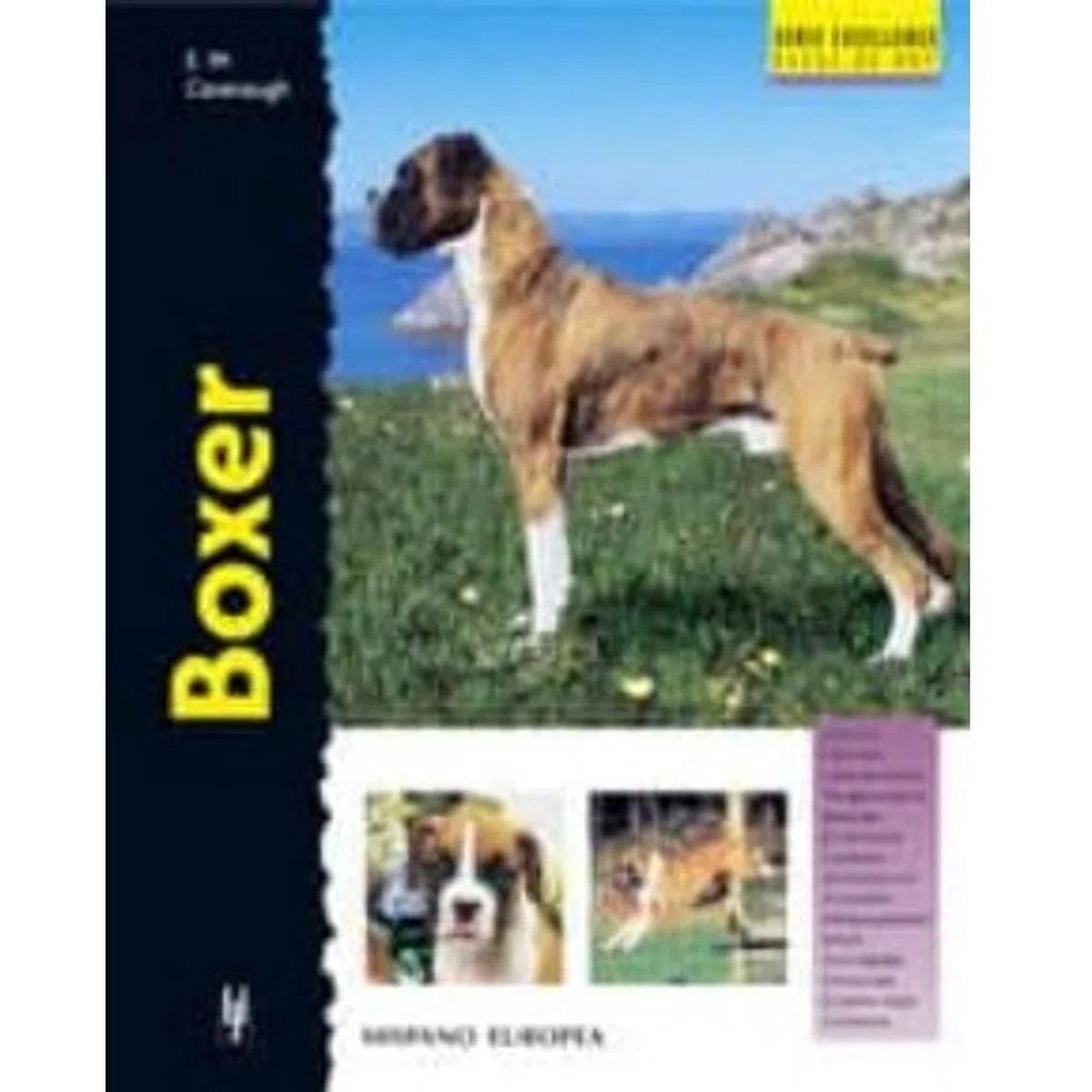 GENERICO - Boxer. Excellence