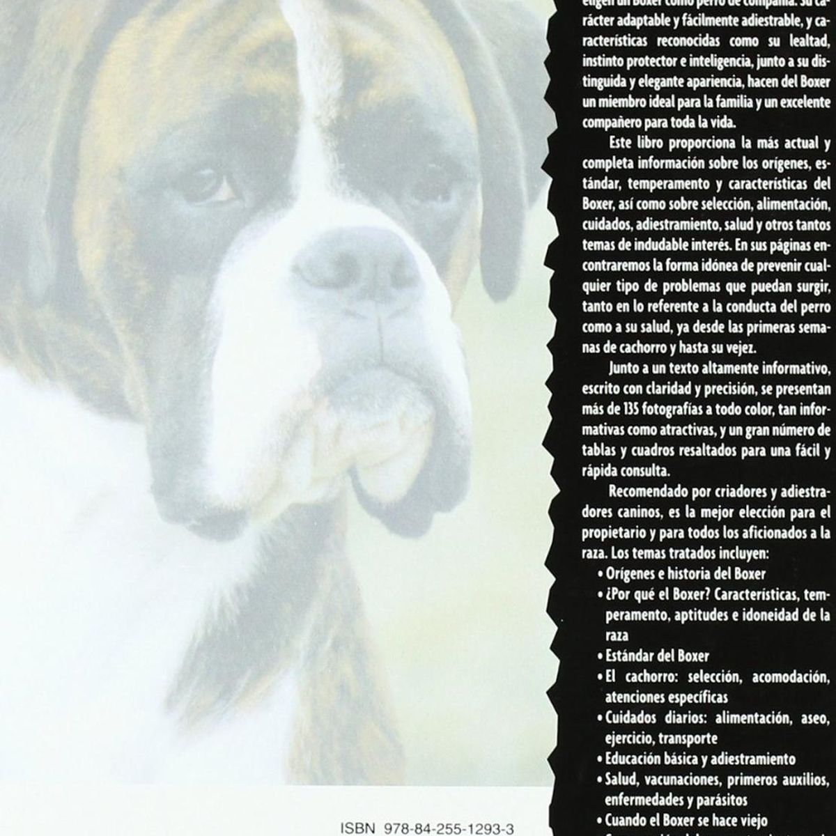 GENERICO - Boxer. Excellence